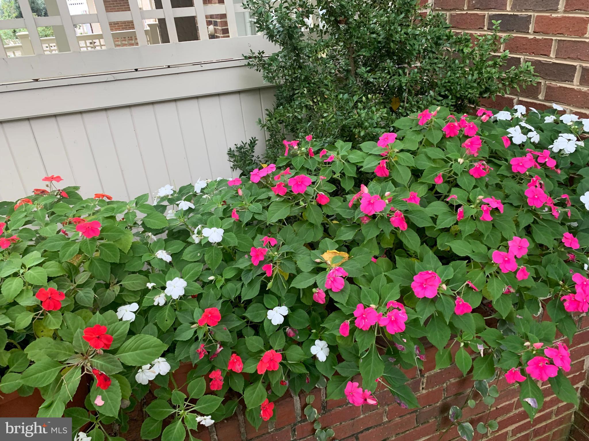 STOCKWELL MANOR - Residential