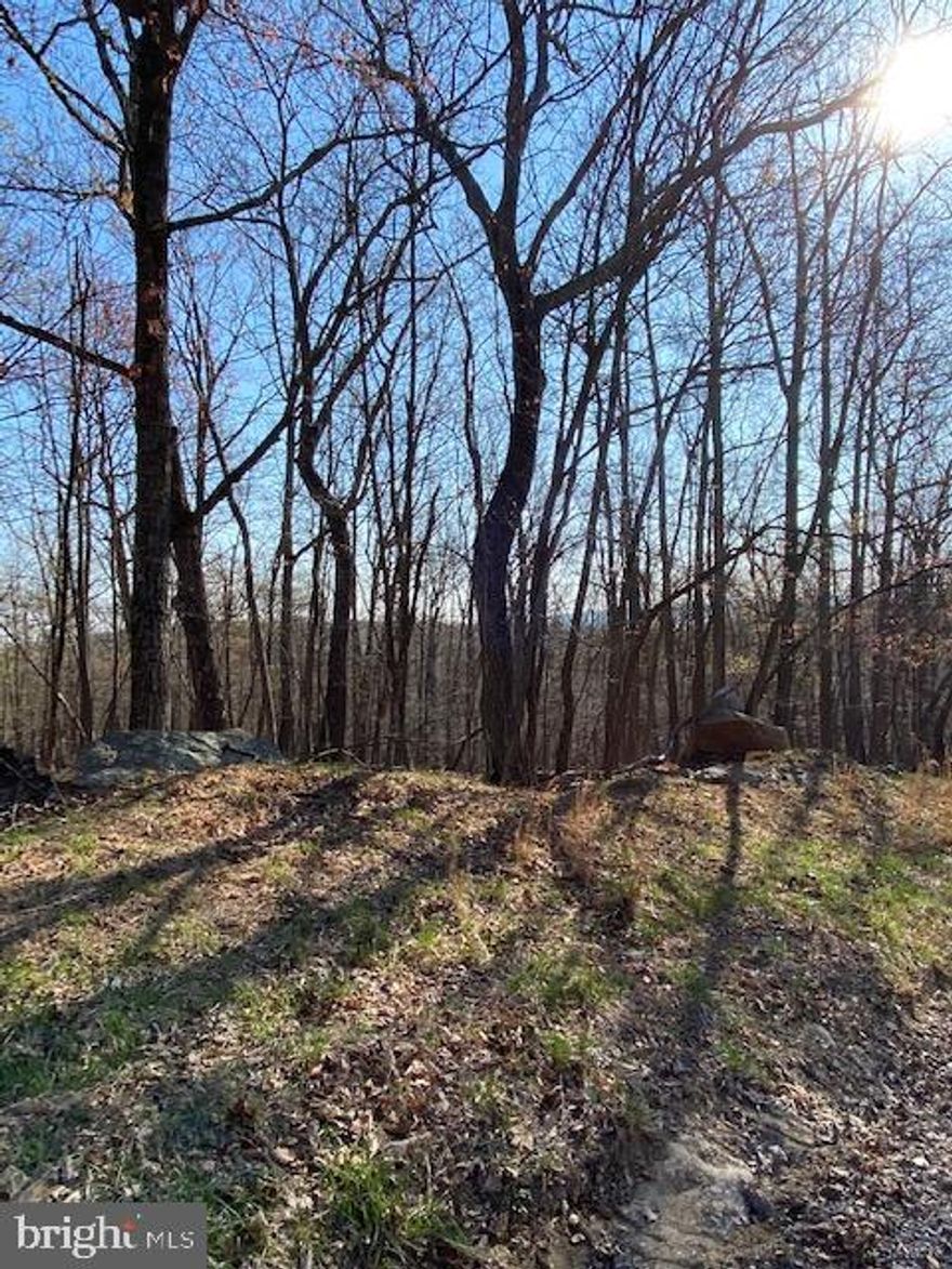5.74 acre lot in Cacapon Highlands. This lot has nice rock formations in a private setting. Bring your camping gear, or build a home.  Not far from the Potomac River or Cacapon Rivers for fishing, swimming , tubbing and Kayaking. This wooded lot could be yours. Look for the orange survey markers in the trees.