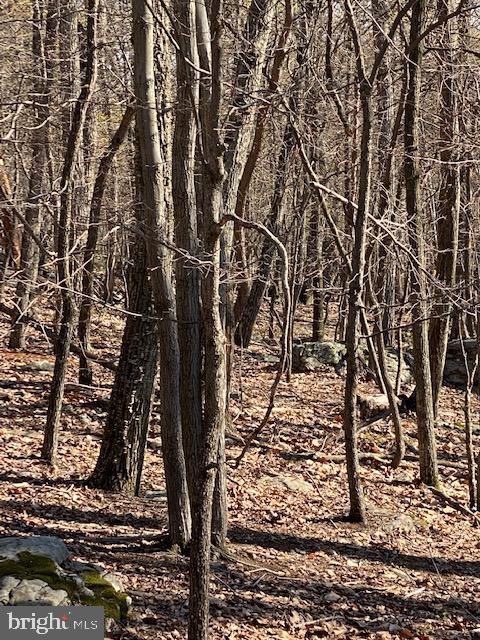 CACAPON HIGHLANDS - Land