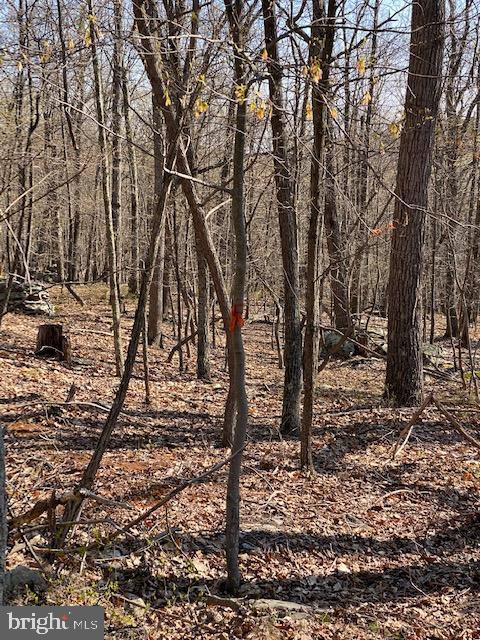 CACAPON HIGHLANDS - Land