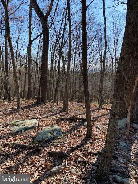 CACAPON HIGHLANDS - Land