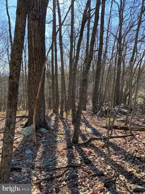 CACAPON HIGHLANDS - Land