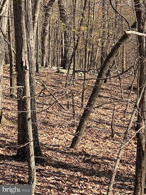 CACAPON HIGHLANDS - Land