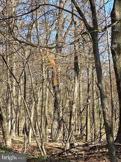 CACAPON HIGHLANDS - Land