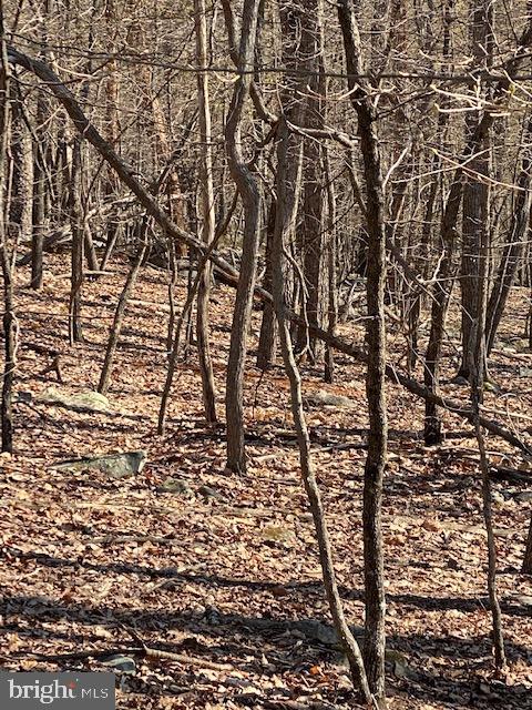 CACAPON HIGHLANDS - Land