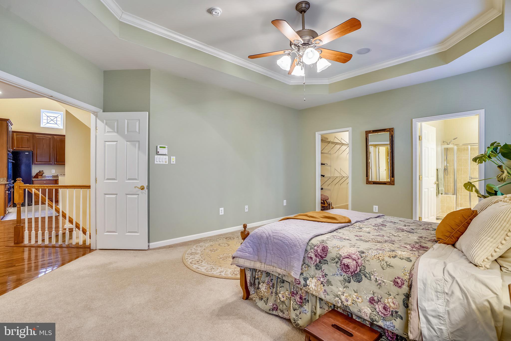 ELLICOTT MEADOWS - Residential