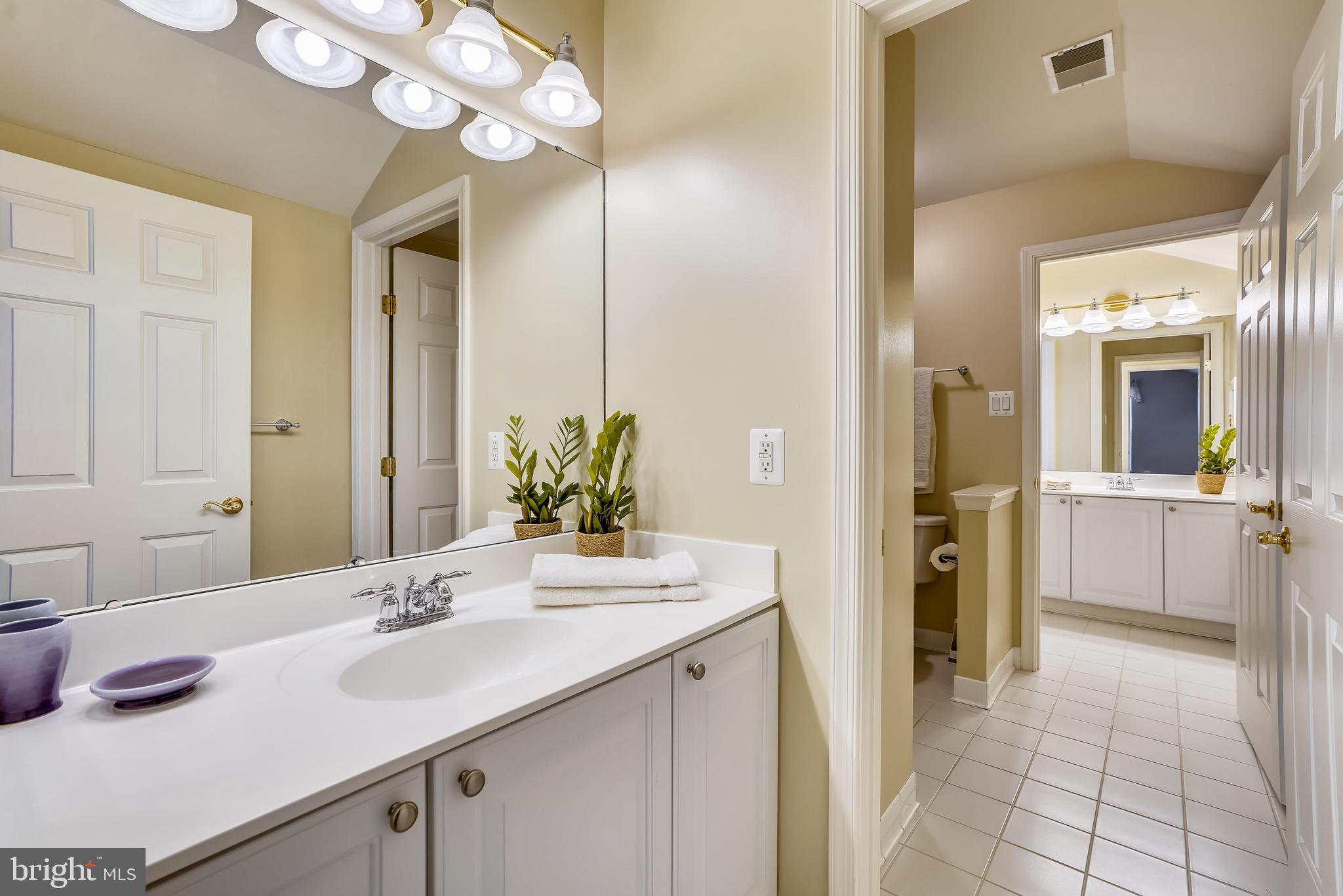 ELLICOTT MEADOWS - Residential