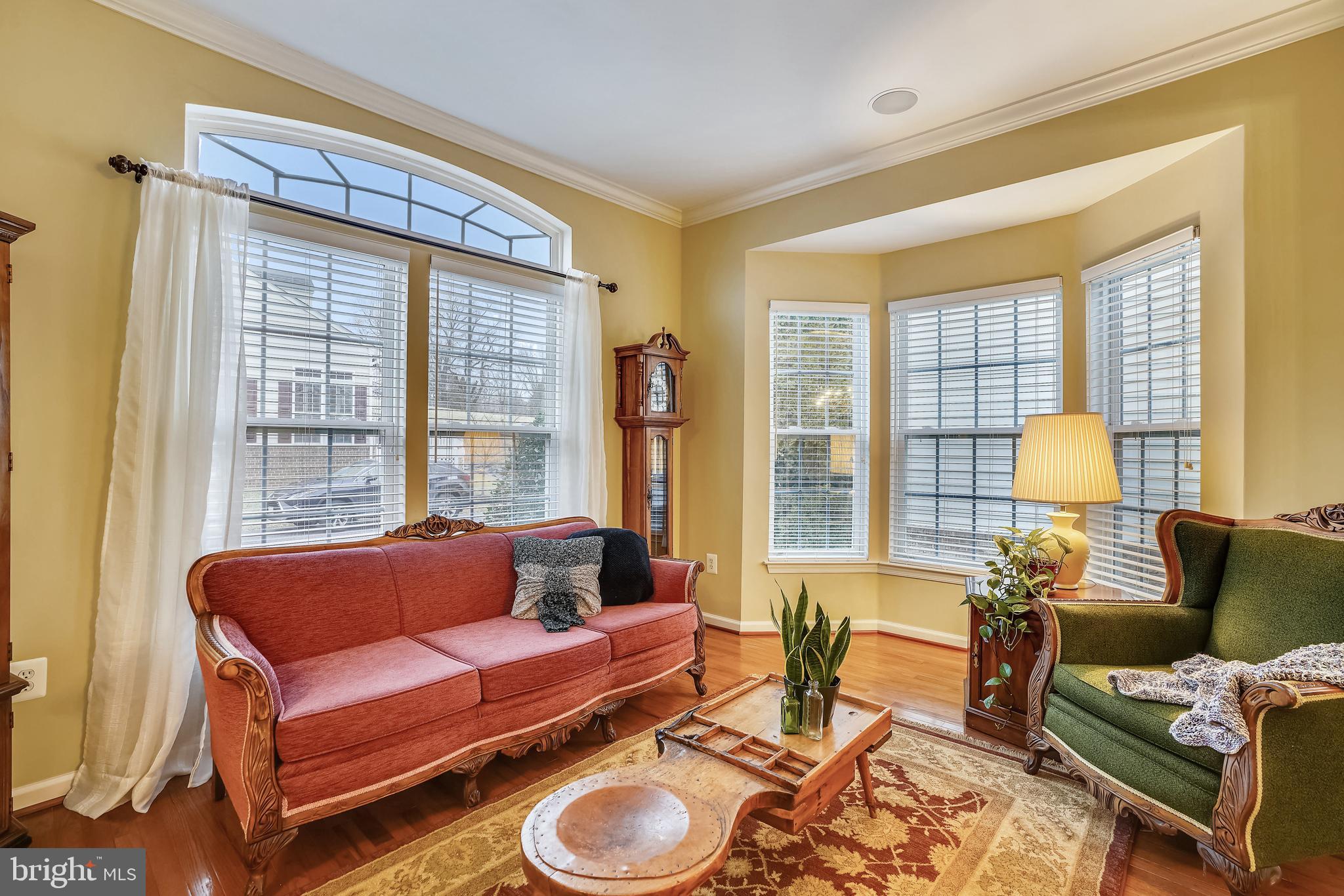 ELLICOTT MEADOWS - Residential