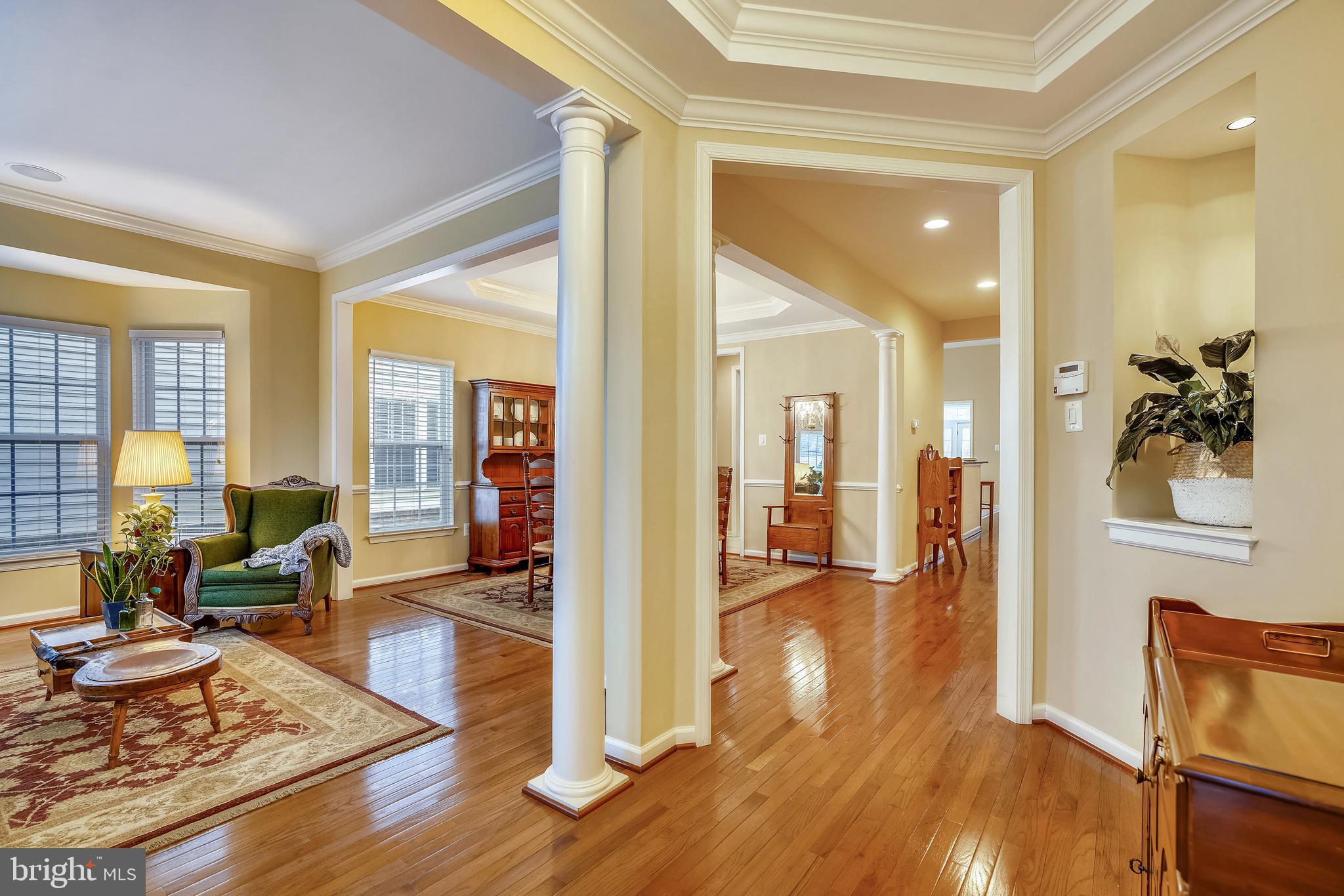 ELLICOTT MEADOWS - Residential