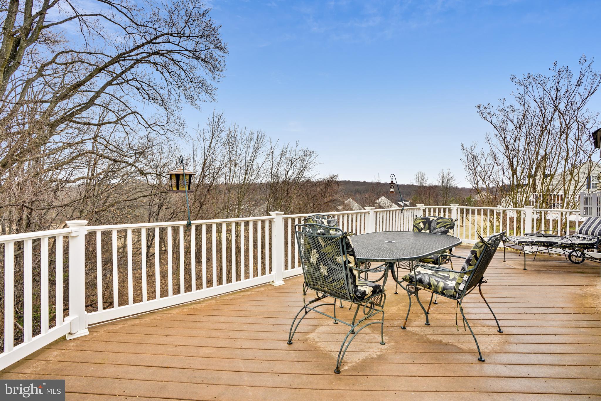 ELLICOTT MEADOWS - Residential