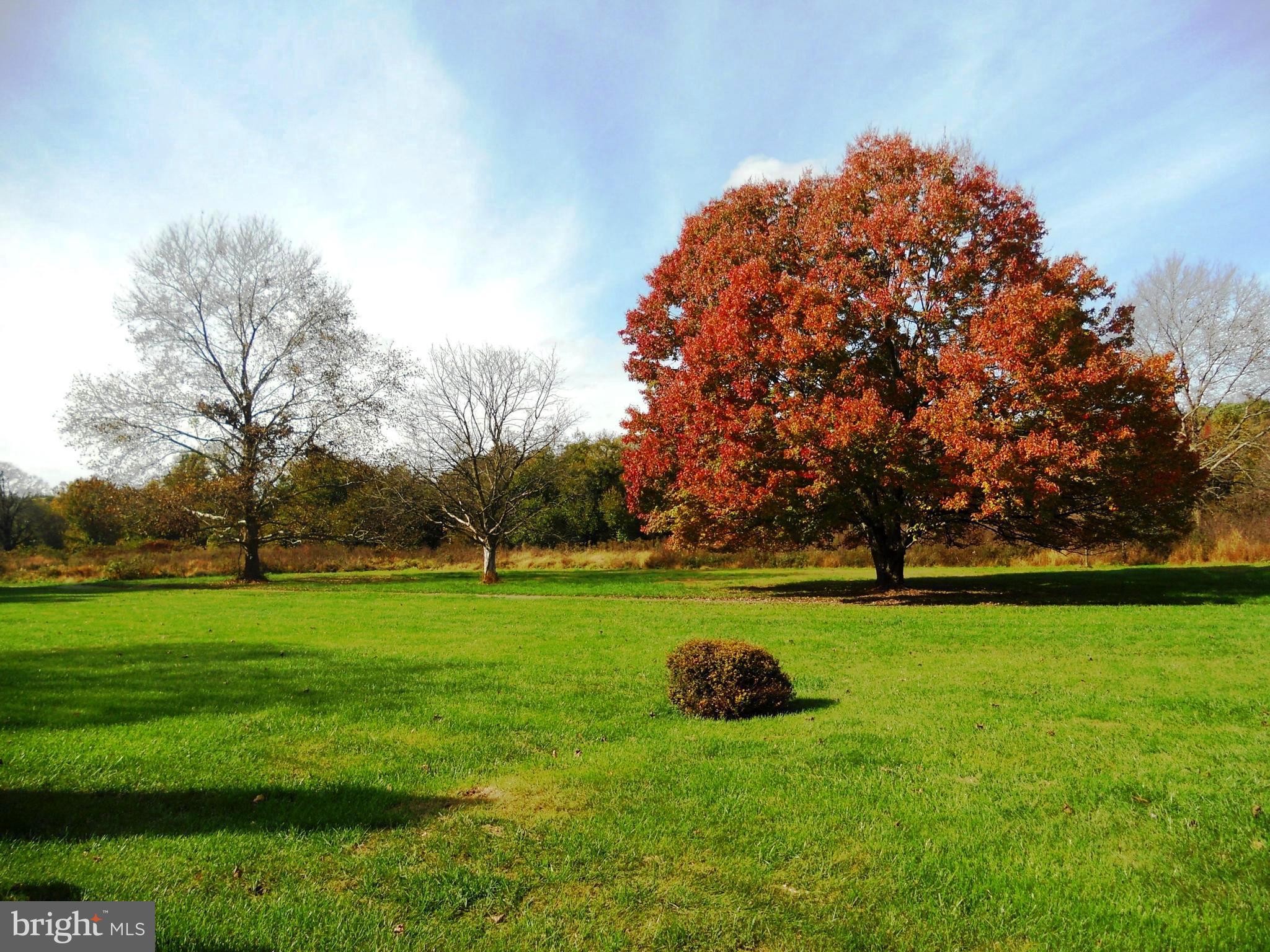 WAKEFIELD VALLEY - Residential