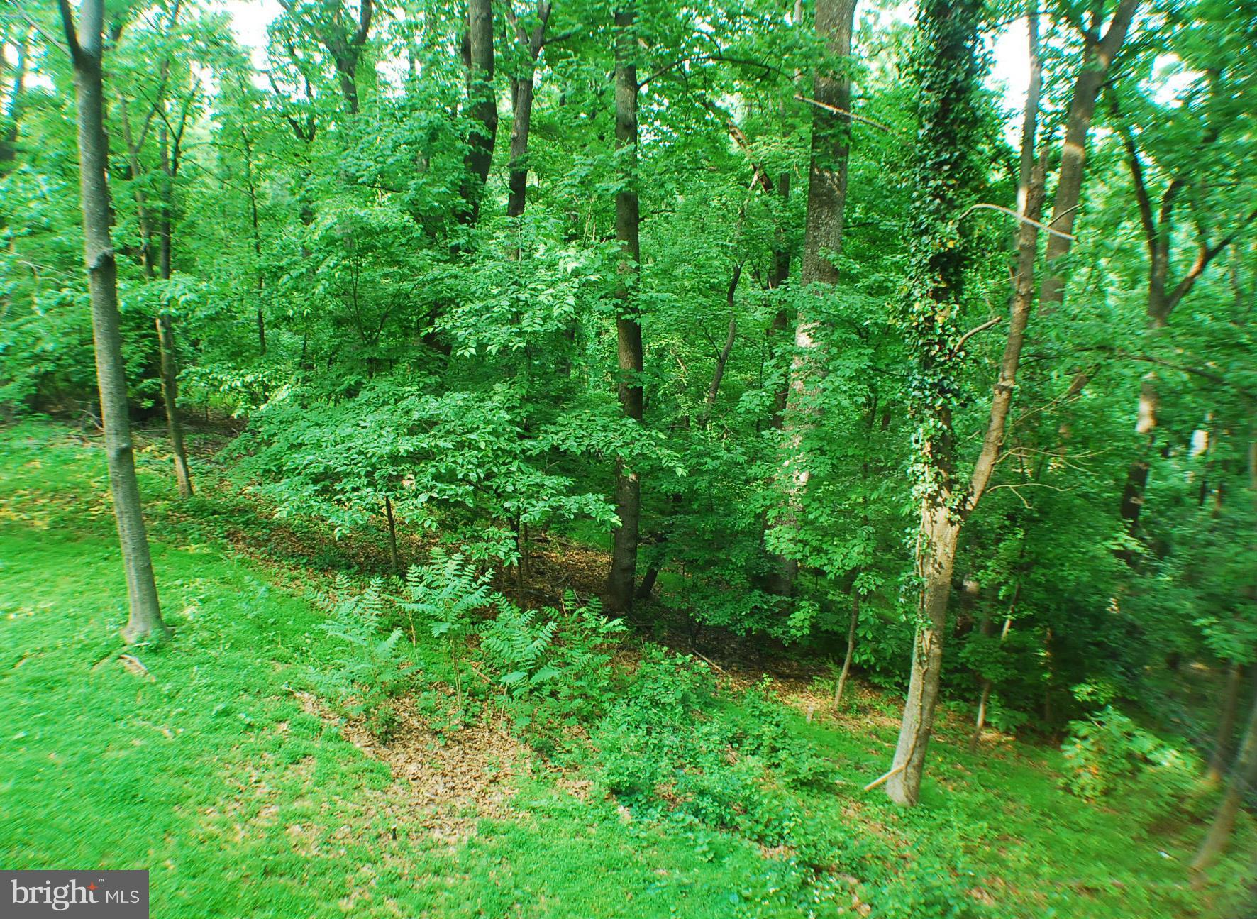 SHENANDOAH RETREAT - Residential