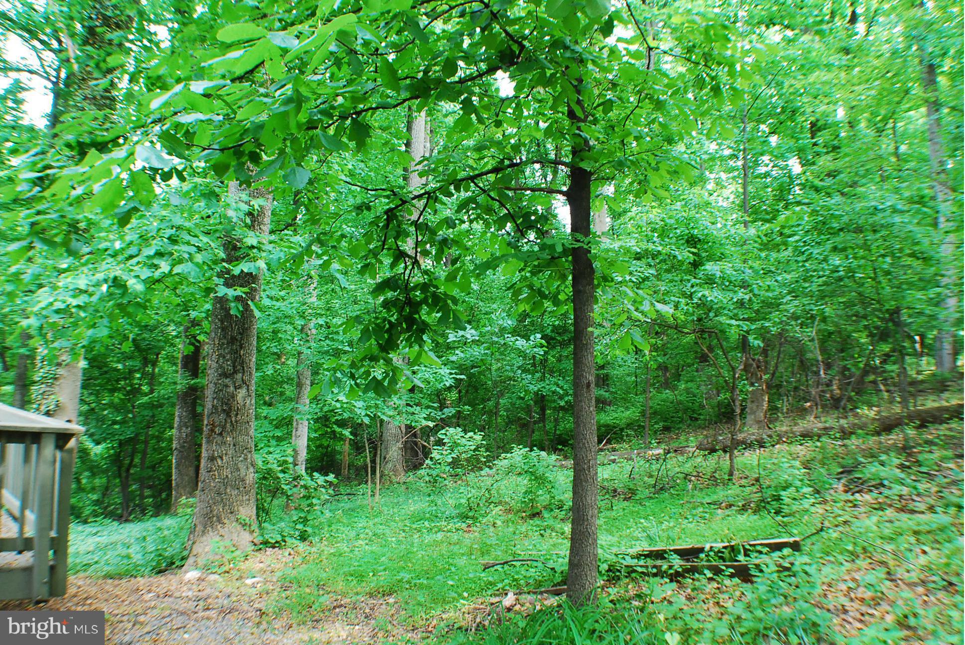 SHENANDOAH RETREAT - Residential