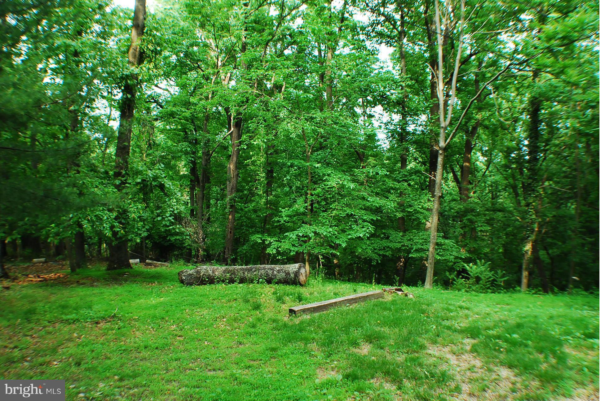 SHENANDOAH RETREAT - Residential