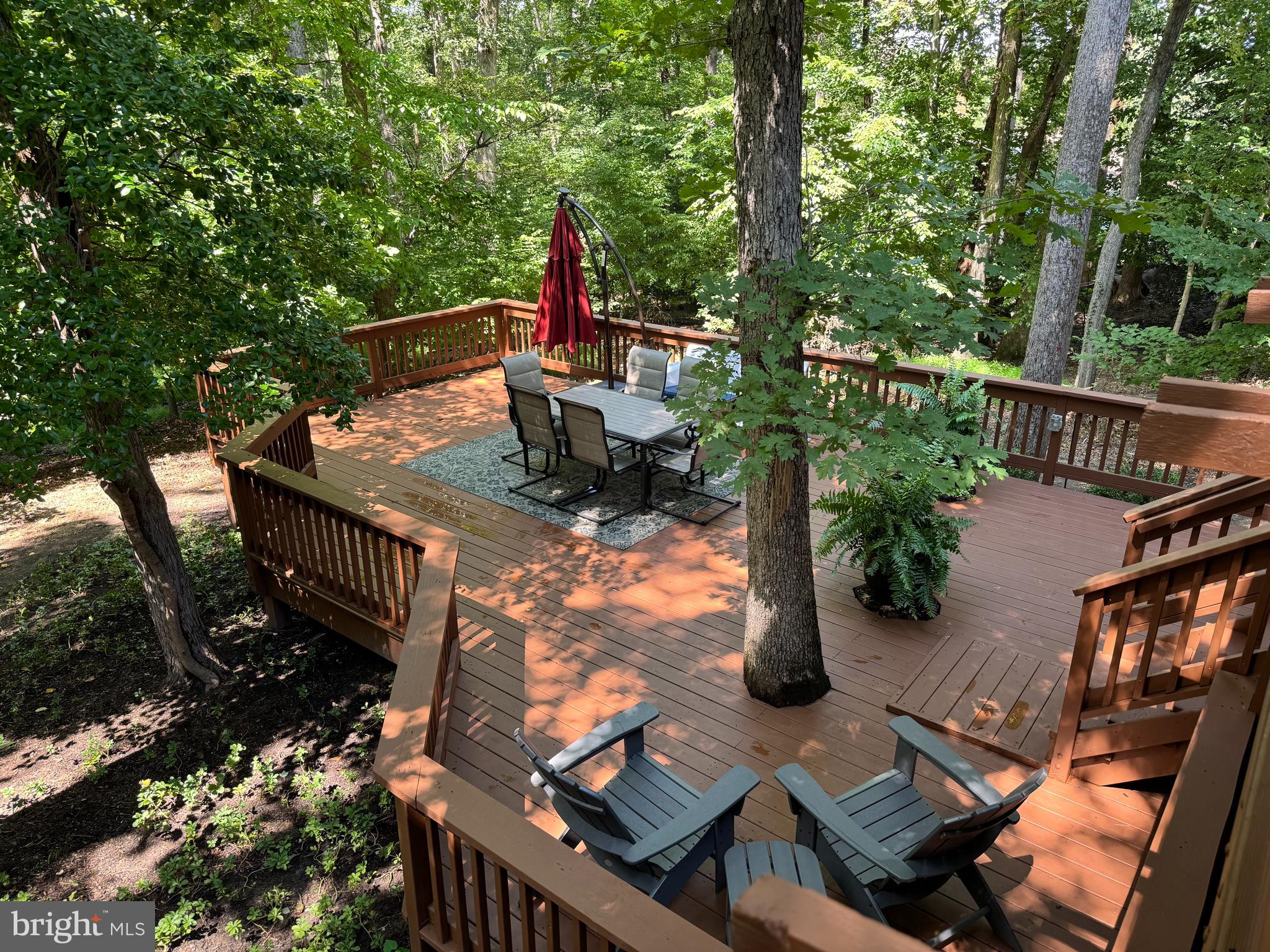 12314 BEECHNUT COURT