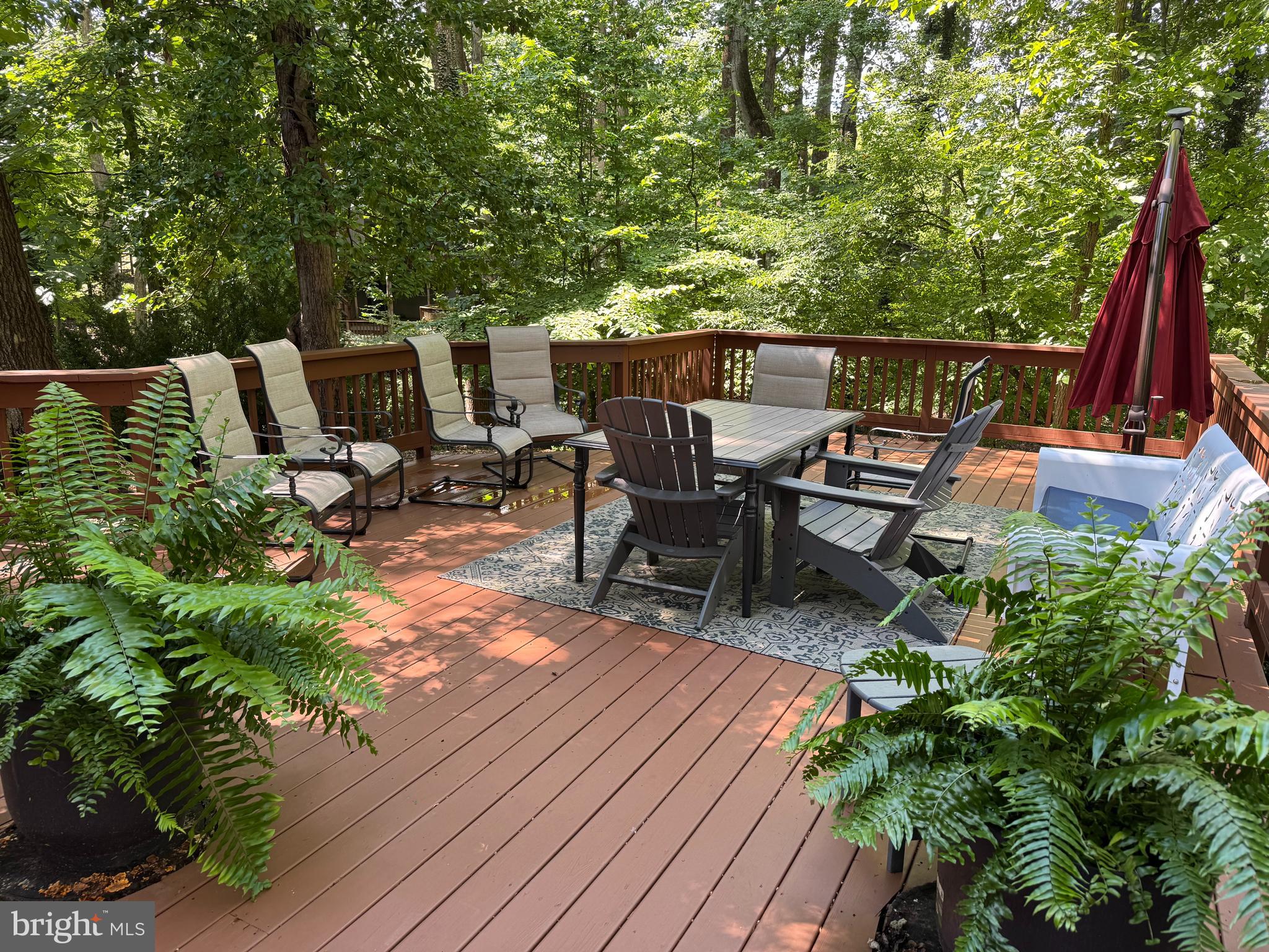 12314 BEECHNUT COURT