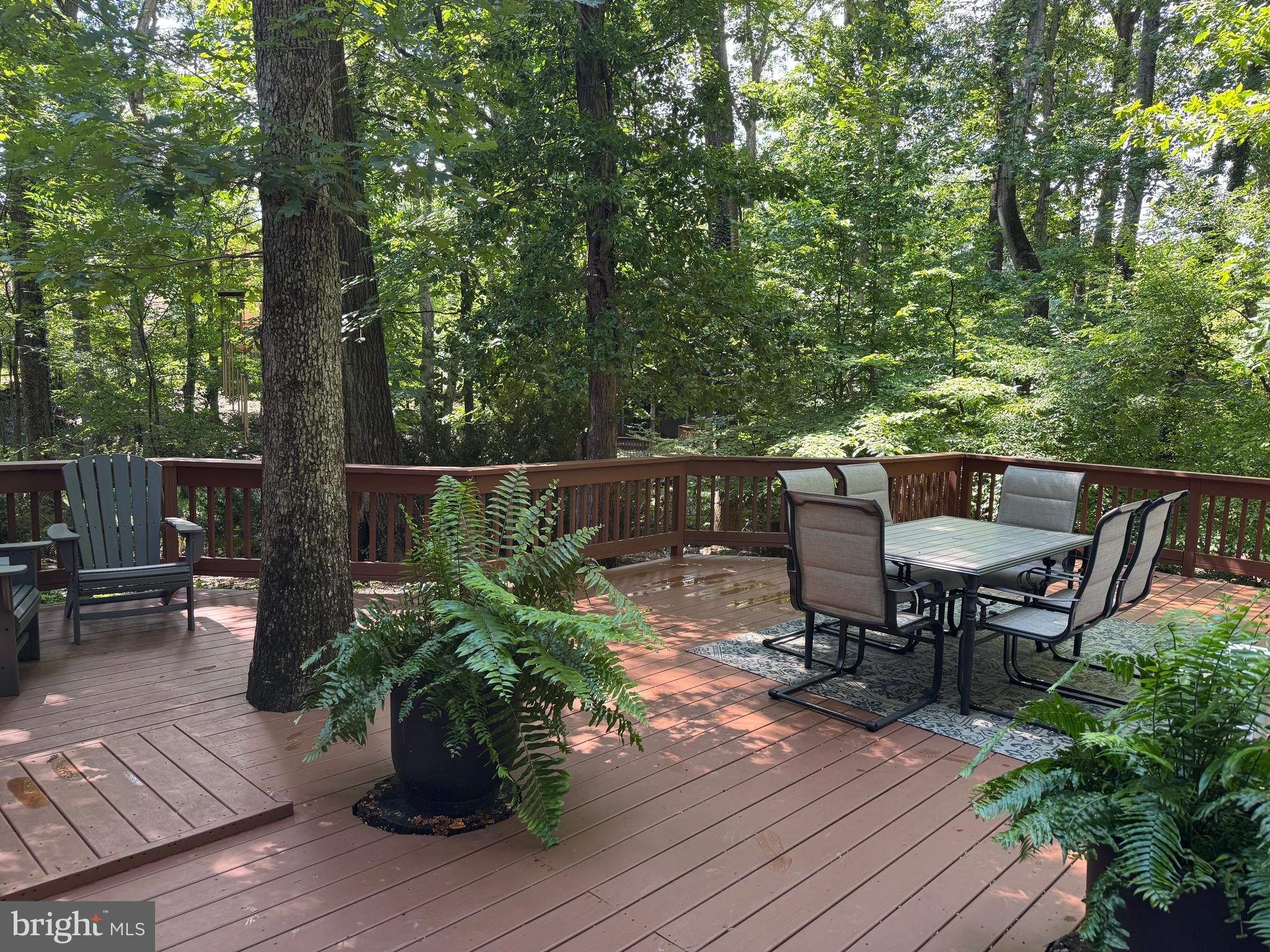 12314 BEECHNUT COURT