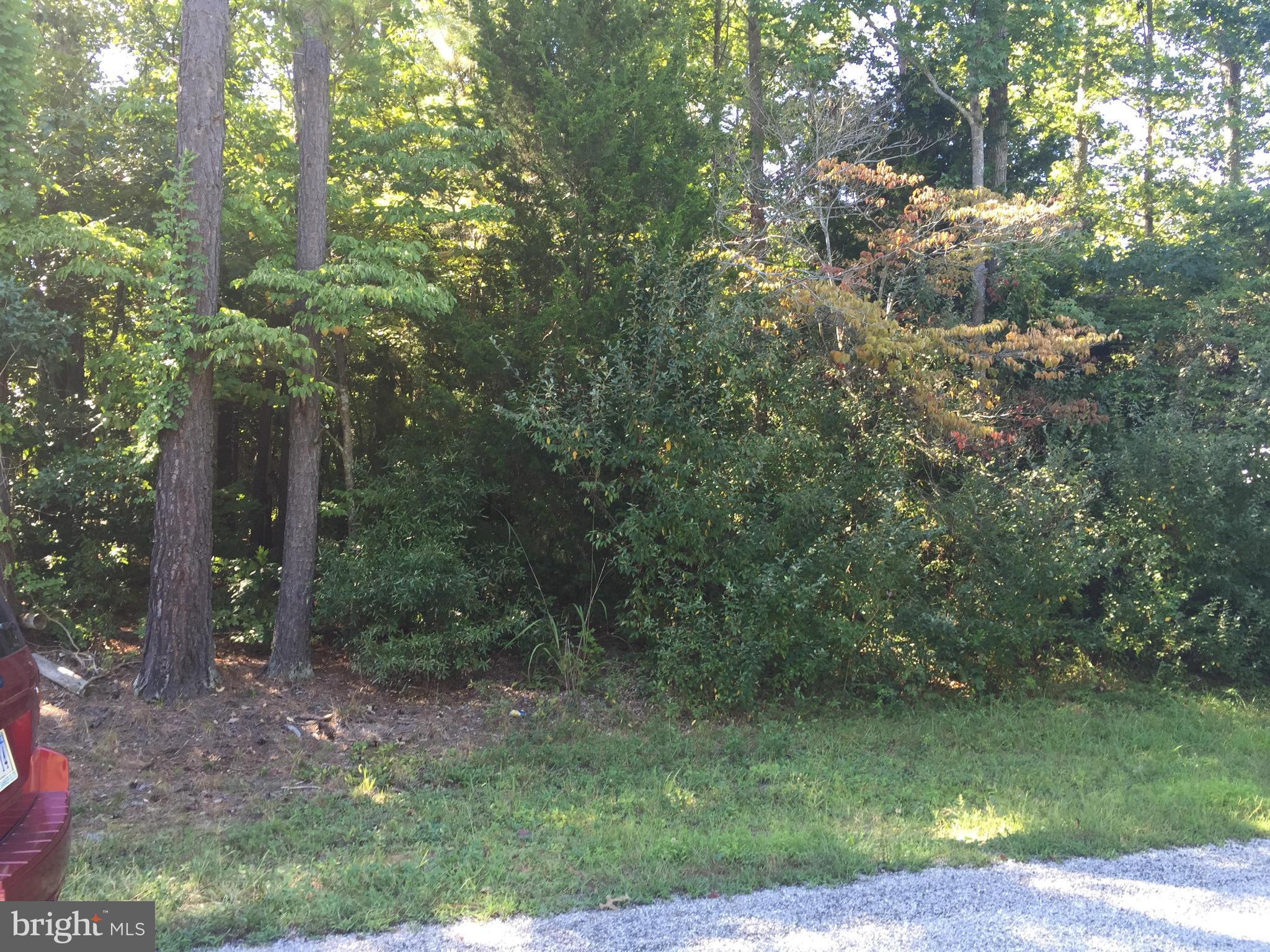 LAKE CAROLINE - Land