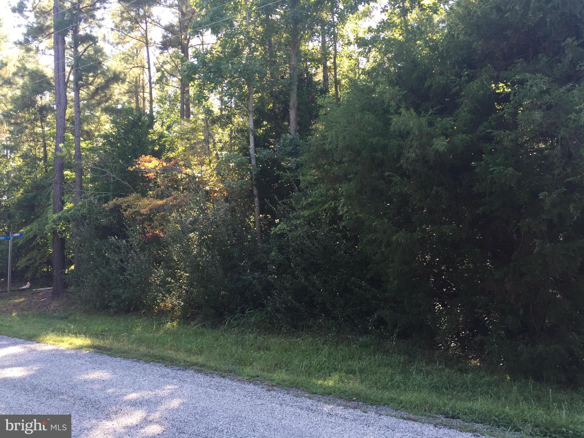 LAKE CAROLINE - Land