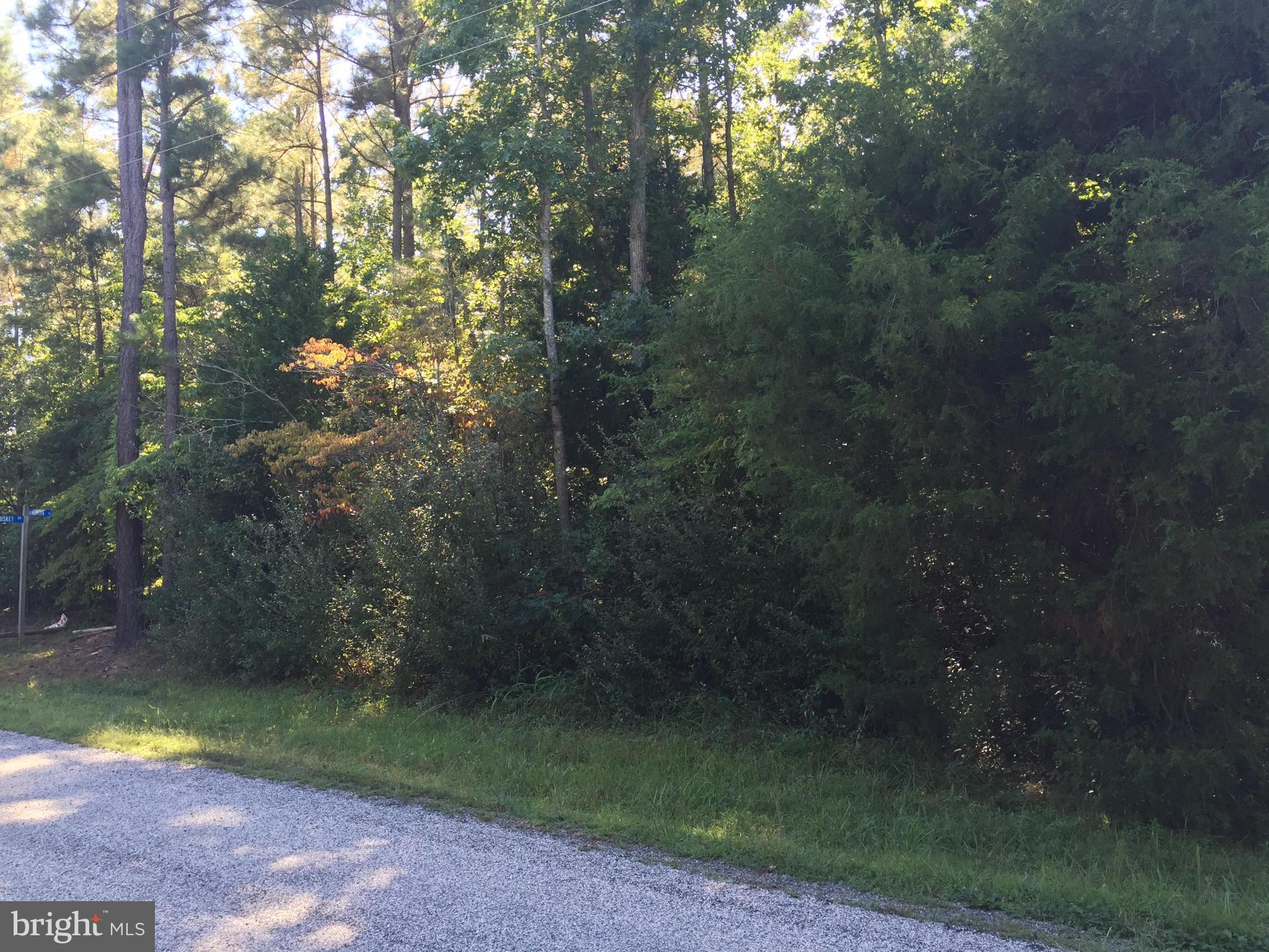 LAKE CAROLINE - Land