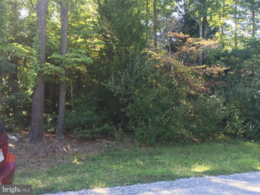 Nice level building lot ready for your future home in water oriented and gated community of Lake Caroline.  Lots of community amenities to include swimming, boating, tennis, playgrounds, and clubhouse.  Listed well below tax assessment of $30,000!