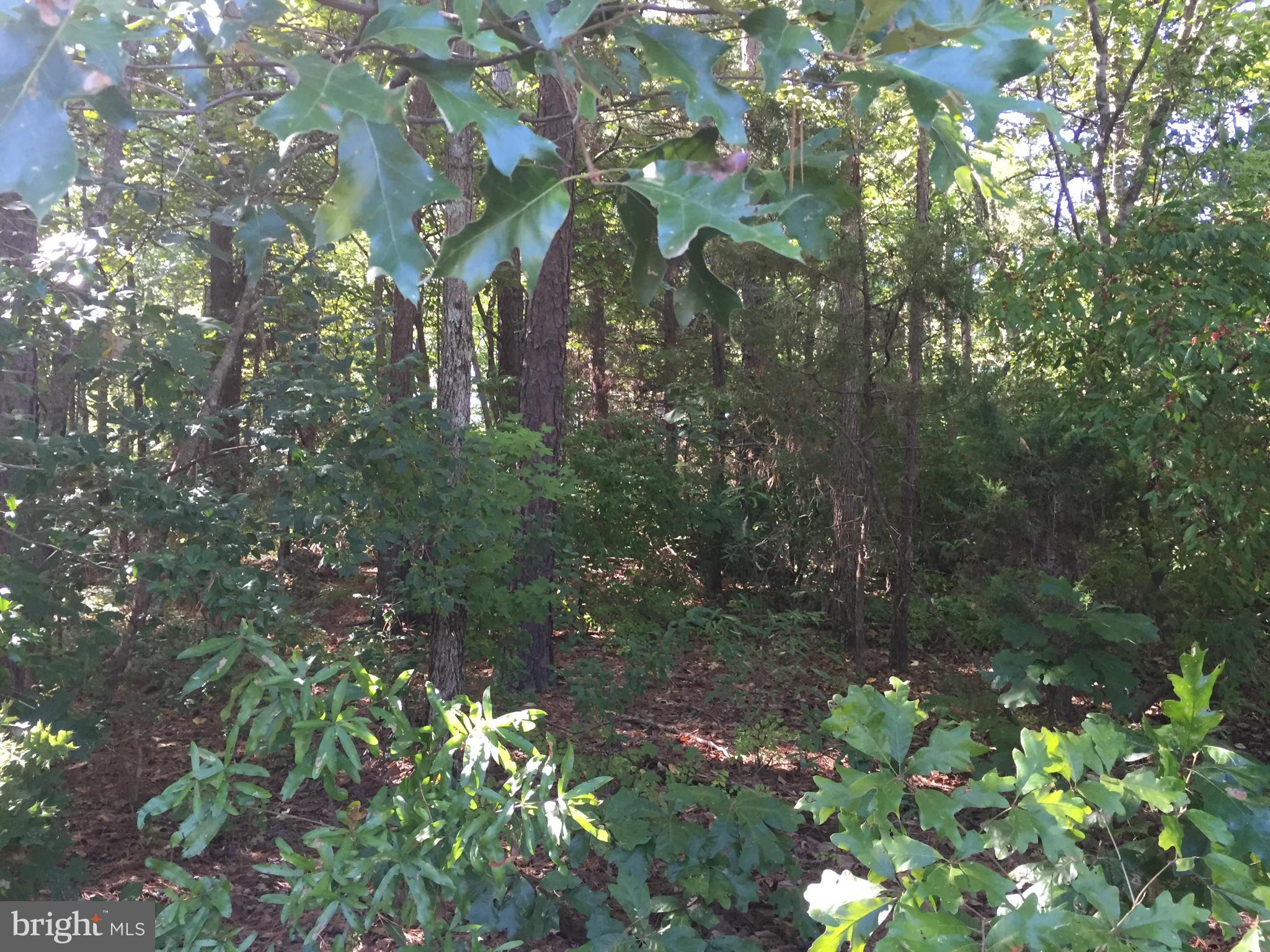 LAKE CAROLINE - Land