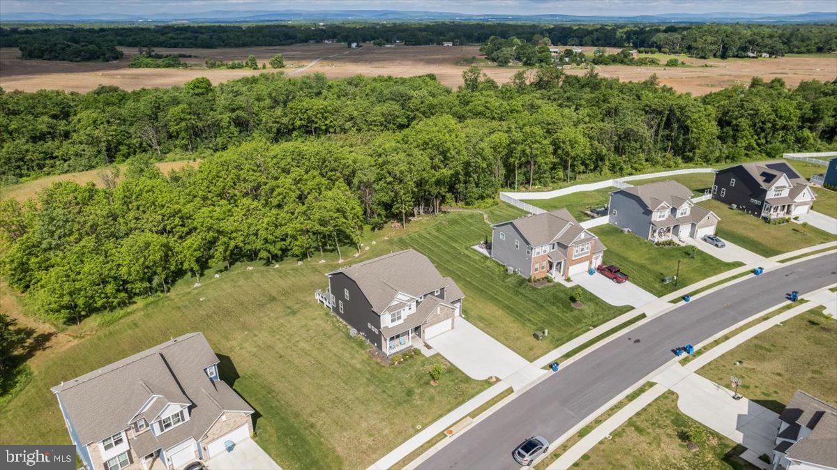 HERMITAGE - Residential