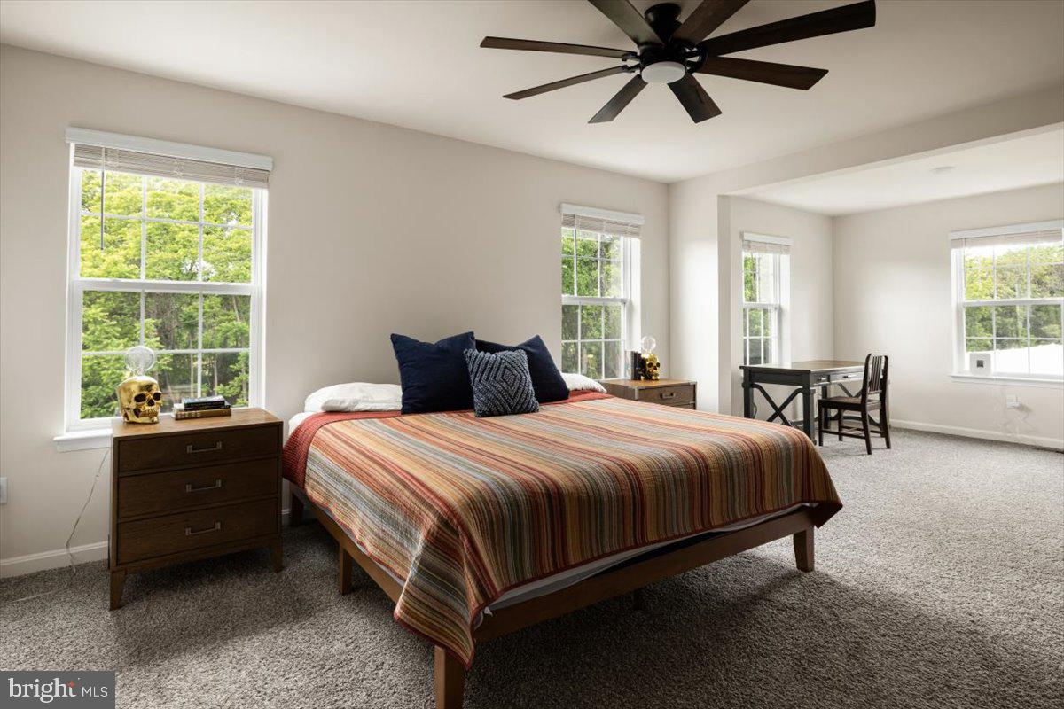 HERMITAGE - Residential