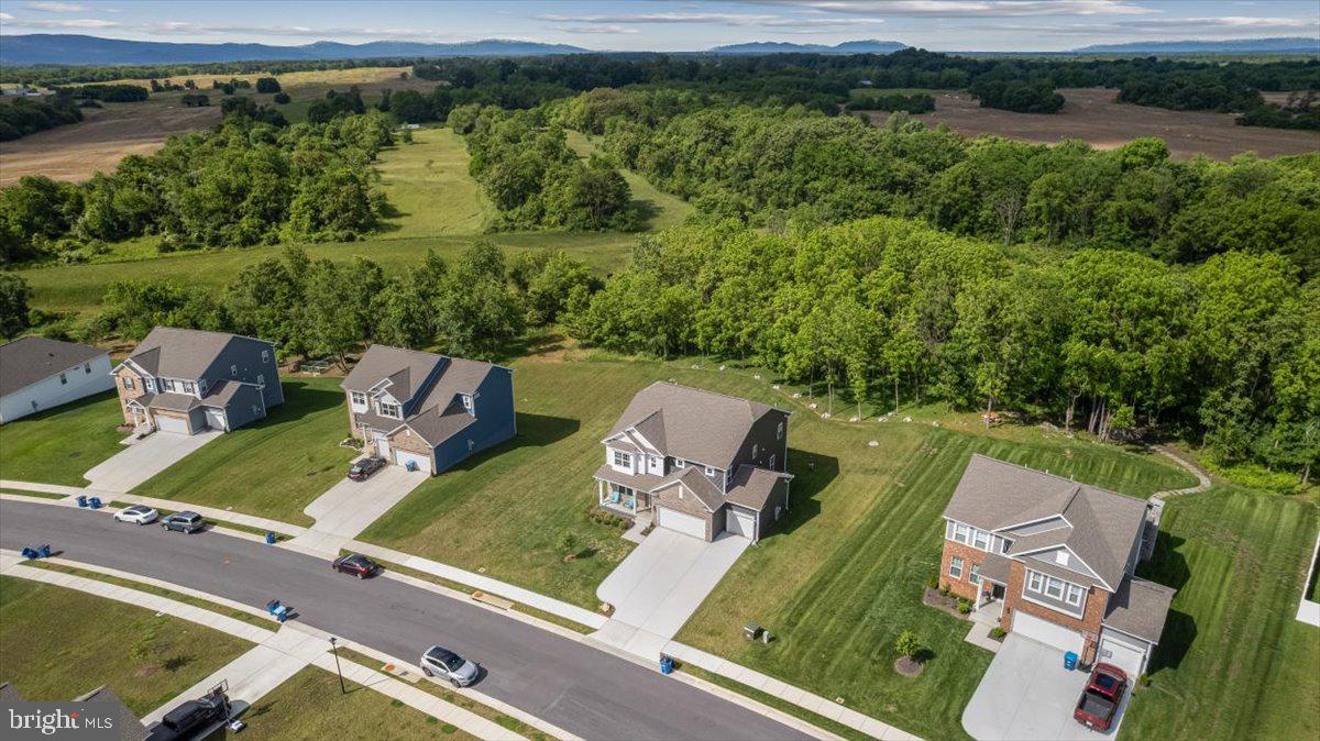 HERMITAGE - Residential