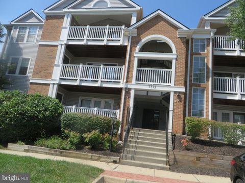 Condo For Rent - 7513 Ashby Lane #N<br/> Fairfax County, ALEXANDRIA, VA 22315
