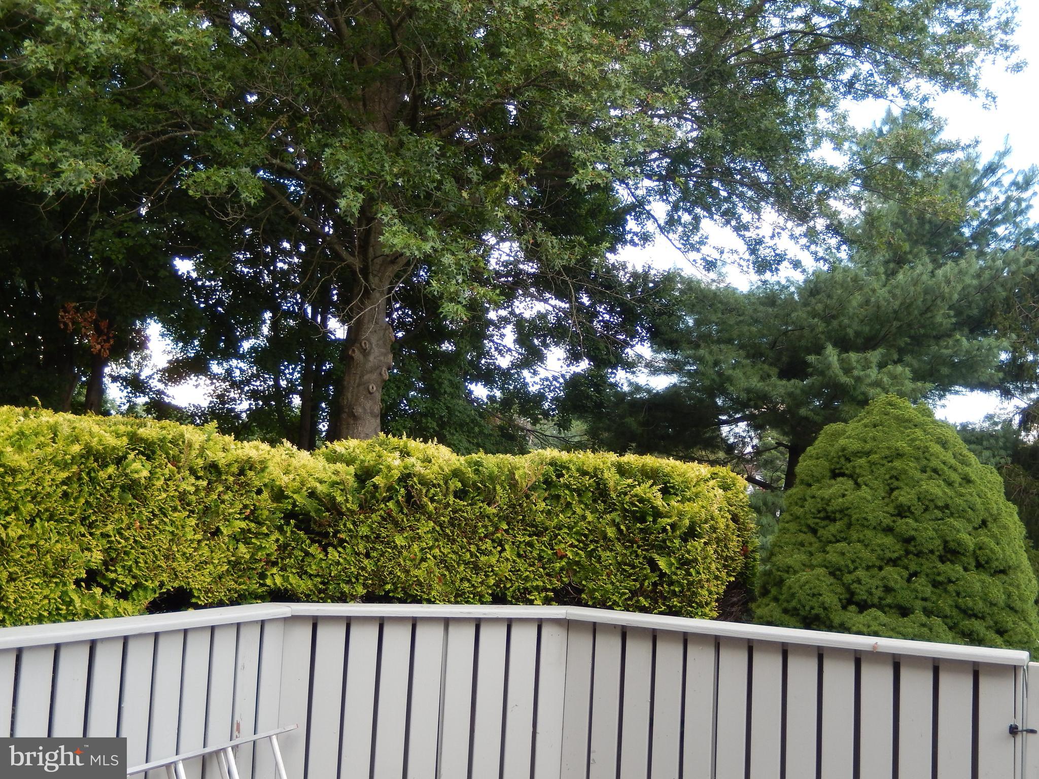 DERWOOD STATION - Residential Lease