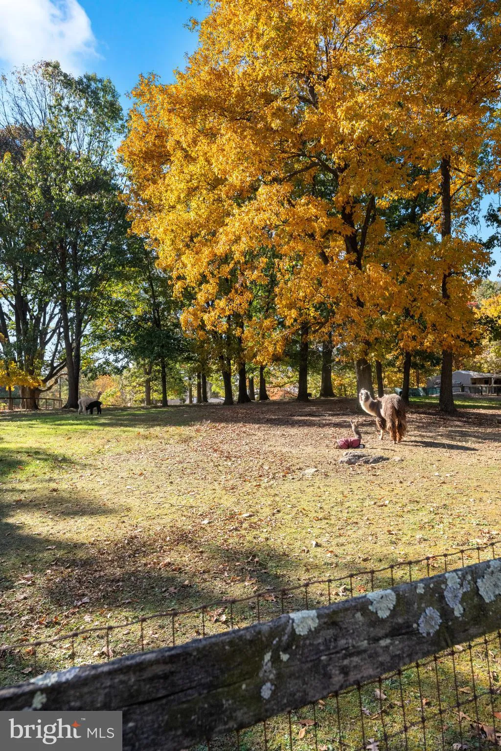Birchrunville, Pennsylvania 19421, United States, 3 Bedrooms Bedrooms, ,3 BathroomsBathrooms,Residential,Active,237125