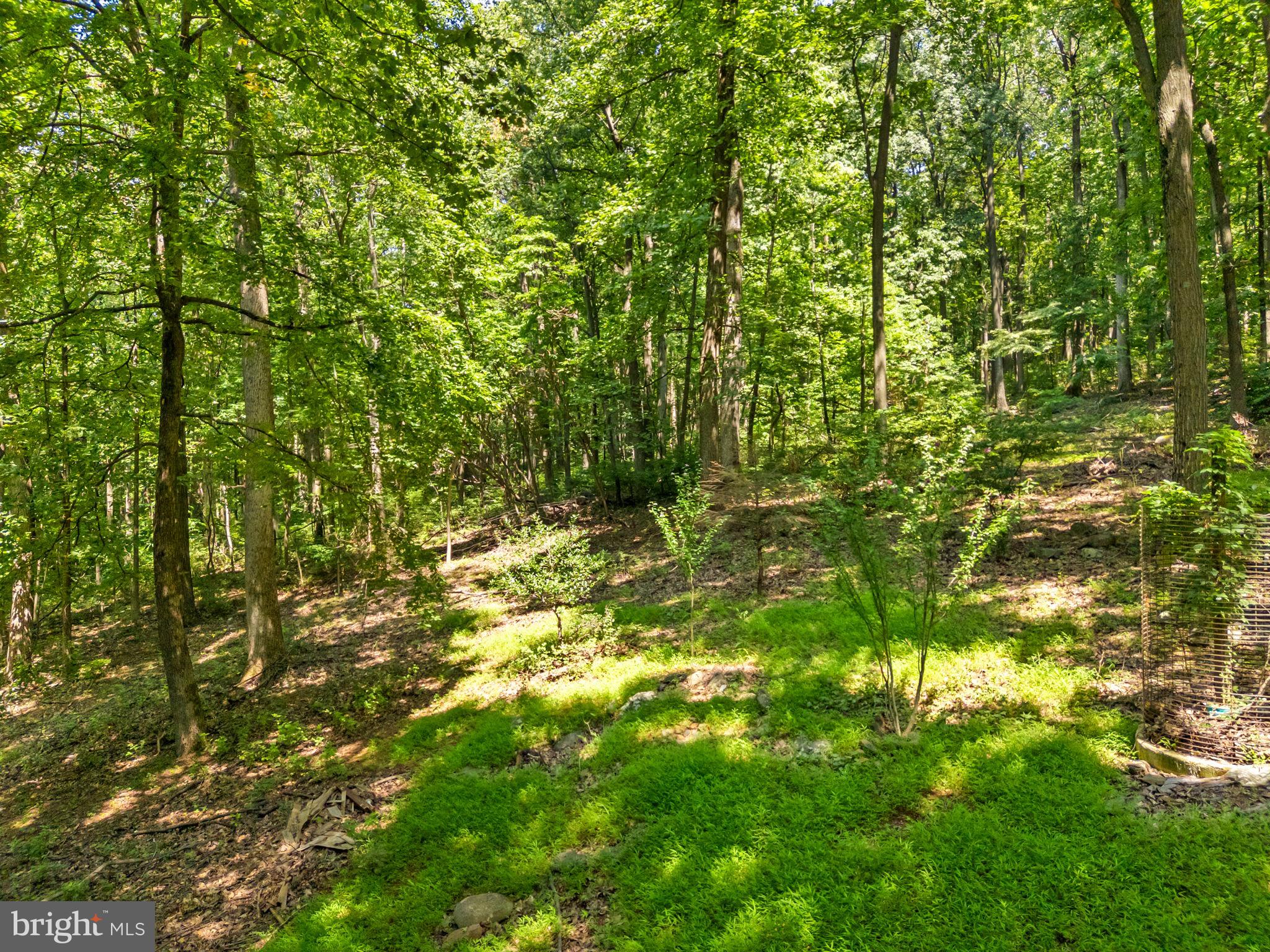 LOCH LINDEN - Residential