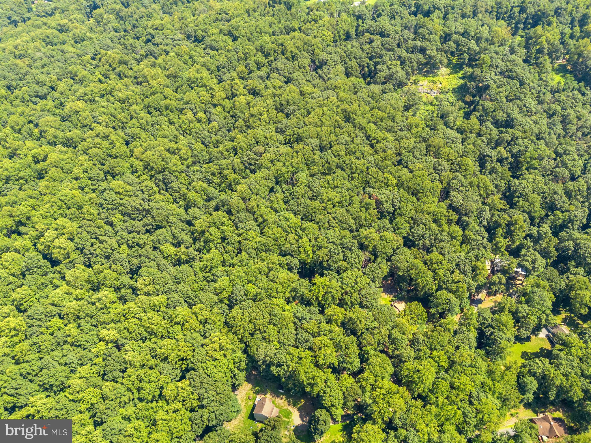 LOCH LINDEN - Residential