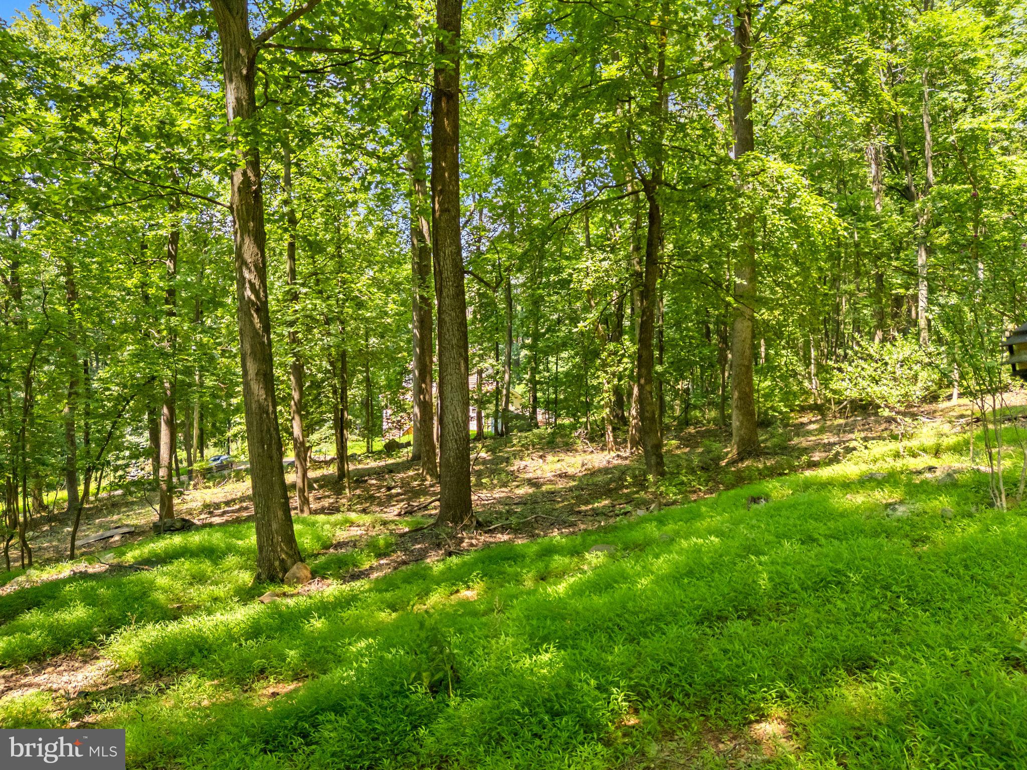 LOCH LINDEN - Residential