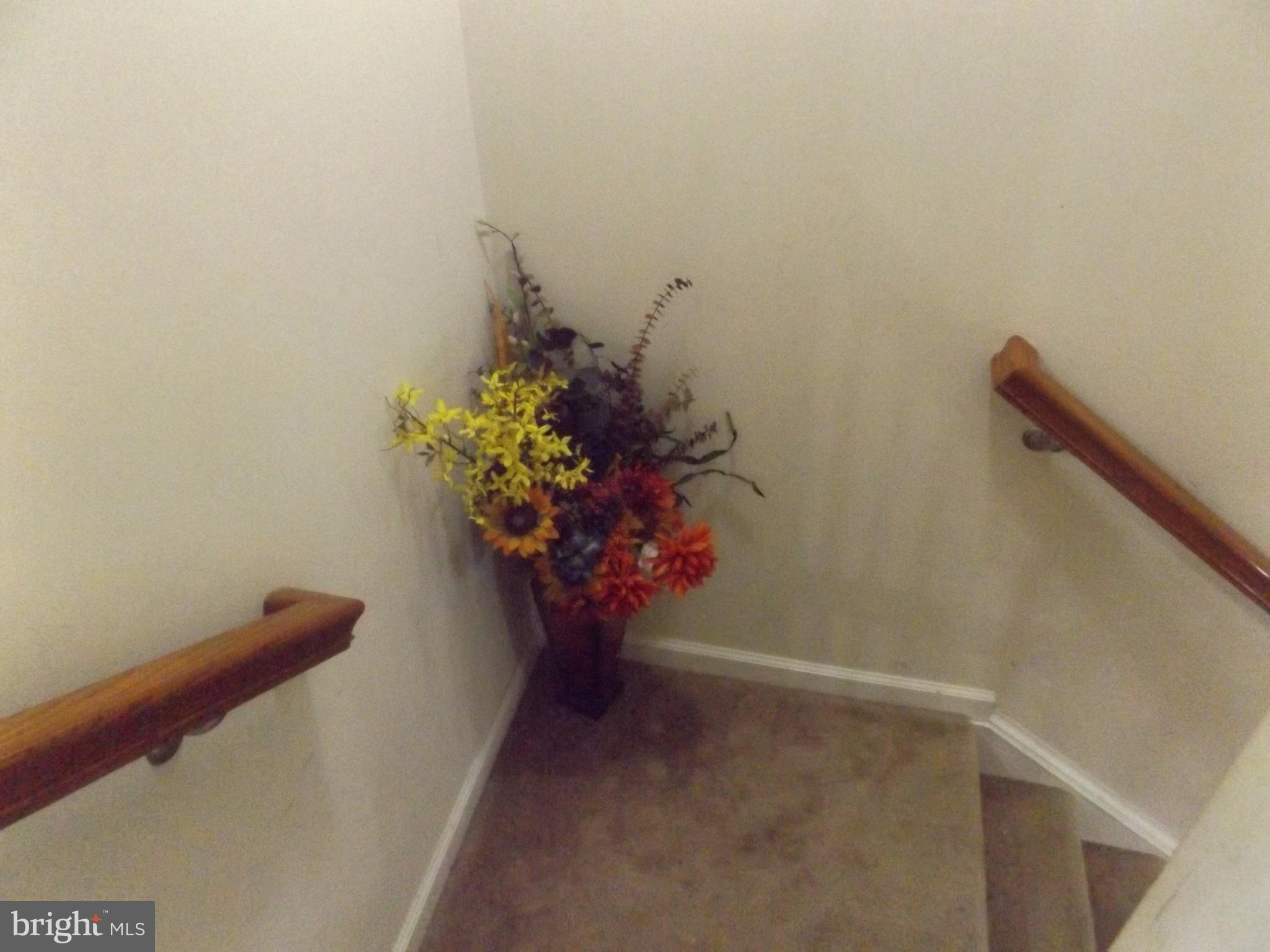 BROOKFIELD - Residential Lease