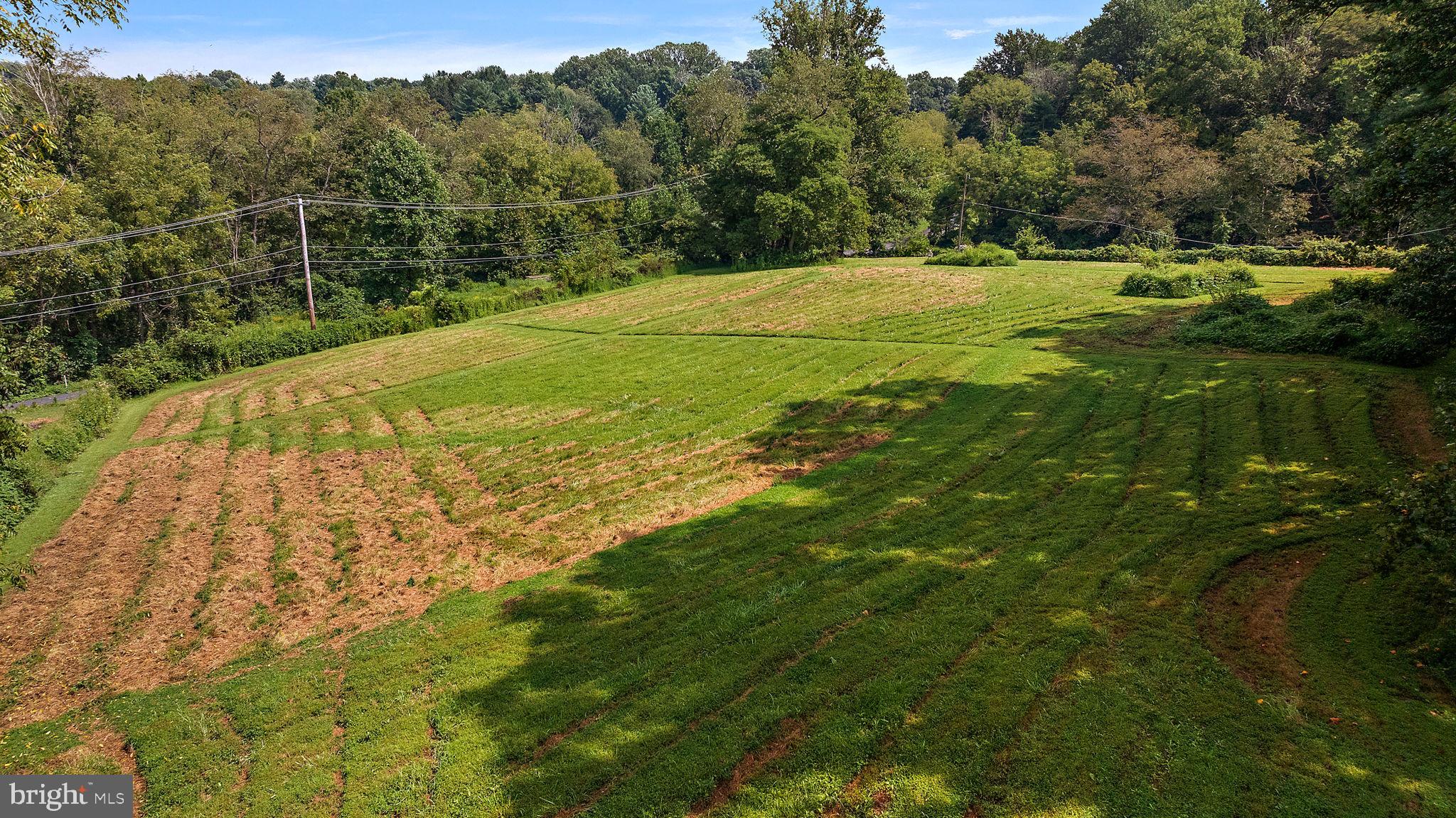217 BUCKTOE ROAD