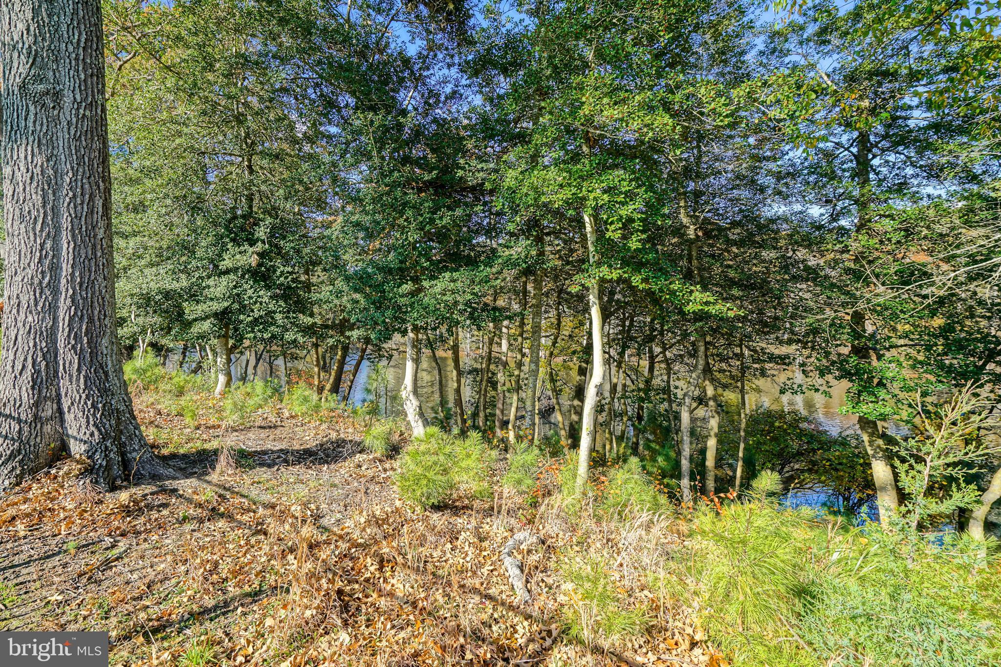 HAWKSEYE - Residential