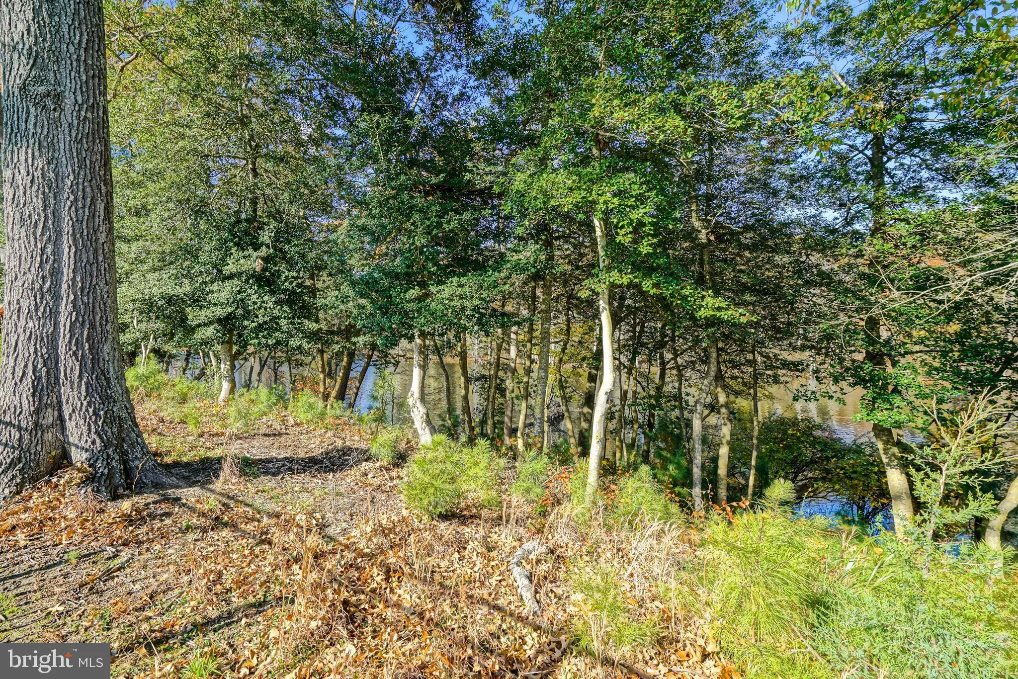 Lewes, Delaware 19958, United States, 6 Bedrooms Bedrooms, ,6 BathroomsBathrooms,Residential,Active,240353