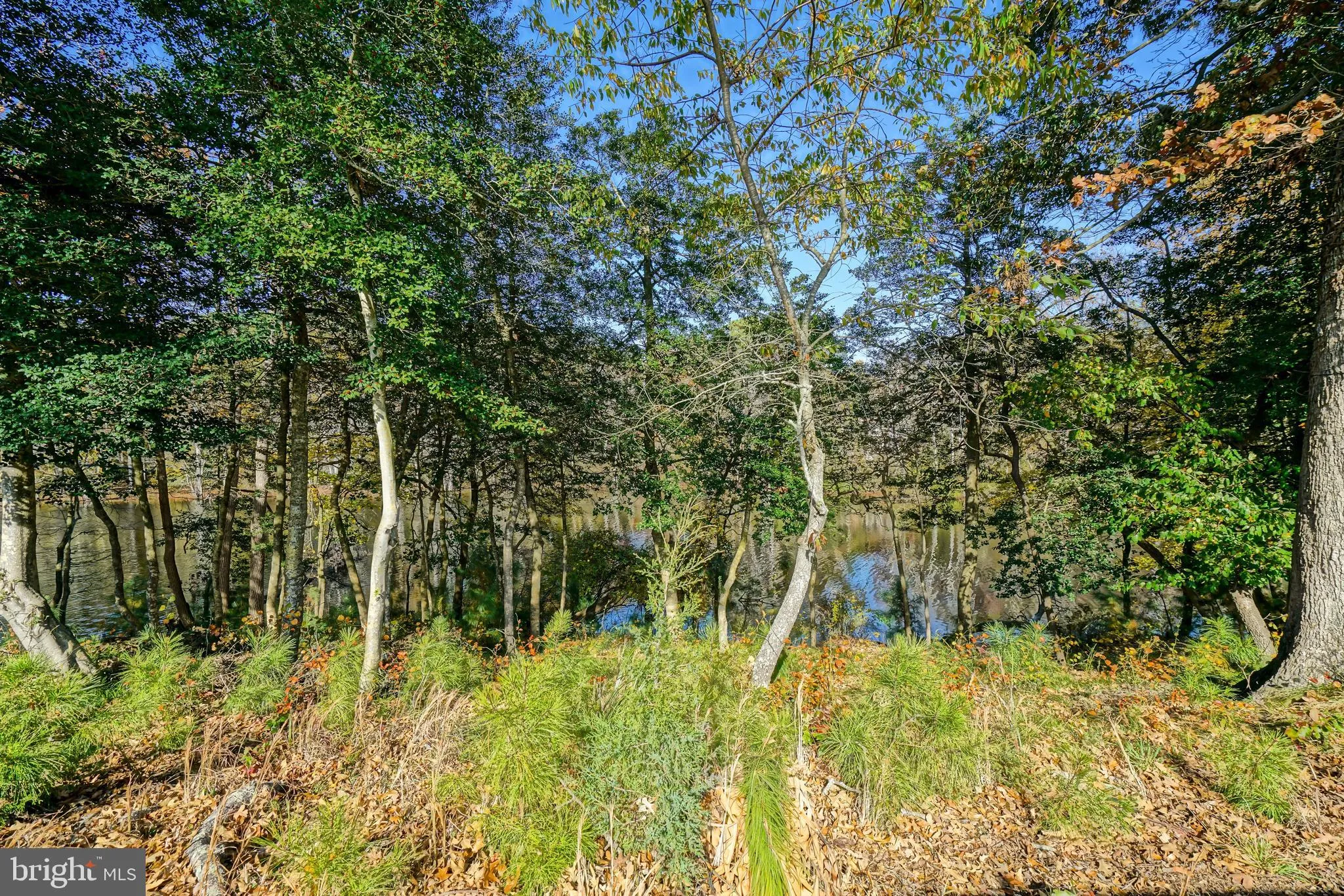 Lewes, Delaware 19958, United States, 6 Bedrooms Bedrooms, ,6 BathroomsBathrooms,Residential,Active,240353