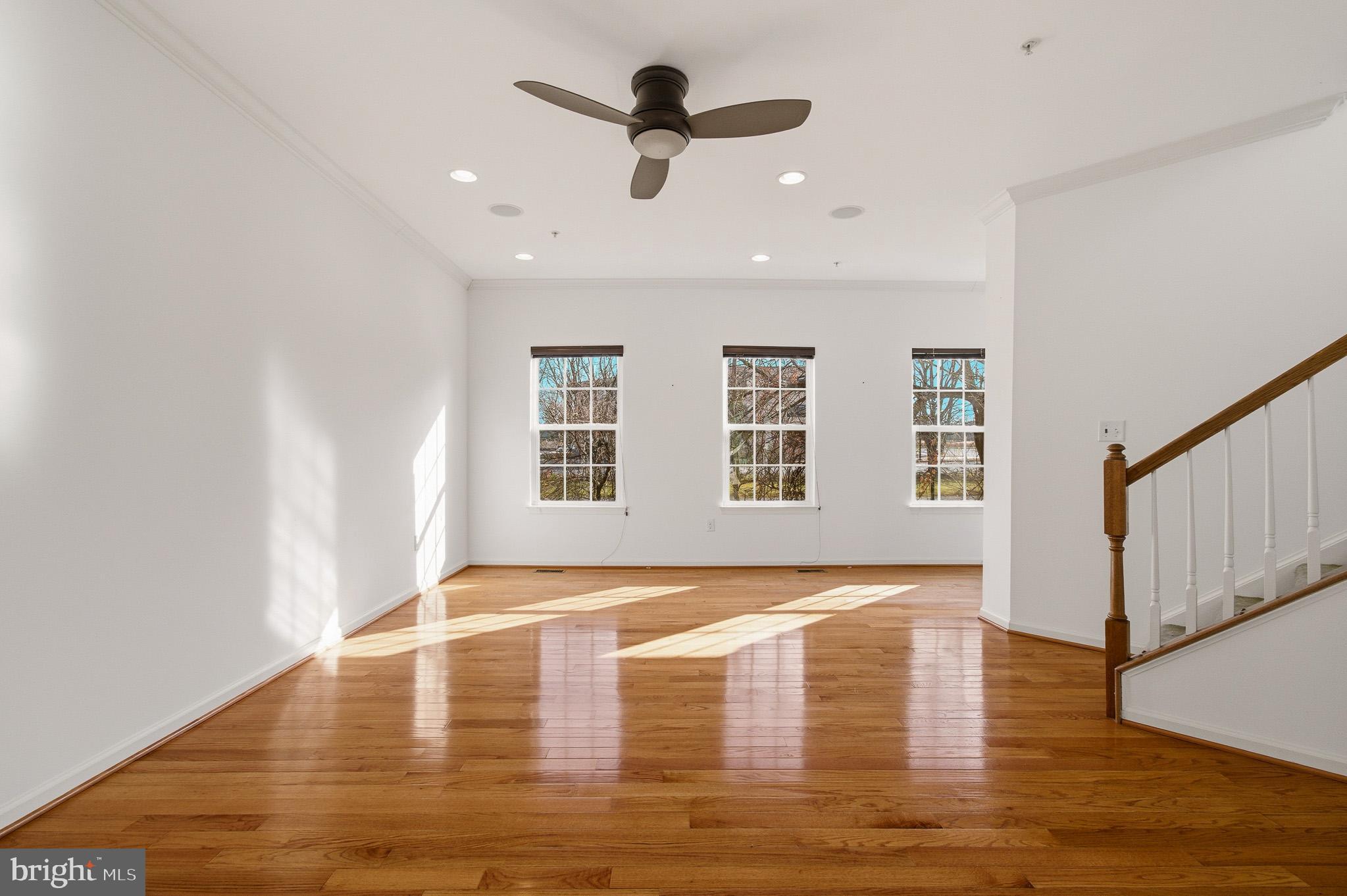 DORSEY SEARCH - Residential Lease