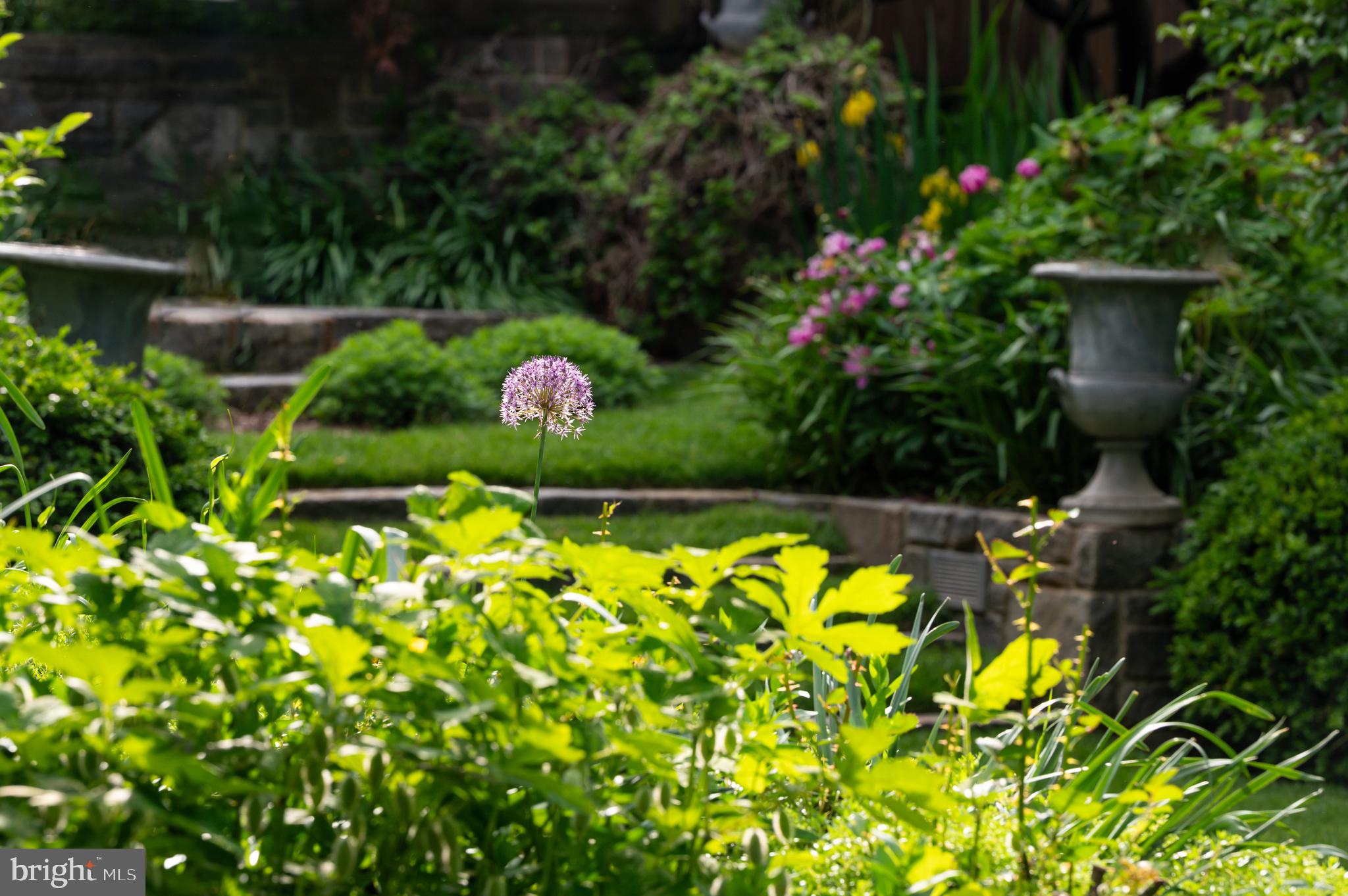 EDGEMOOR - Residential