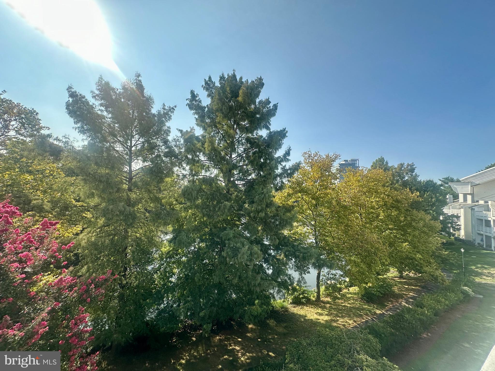 CARR AT NEW PROVIDENCE - Residential Lease