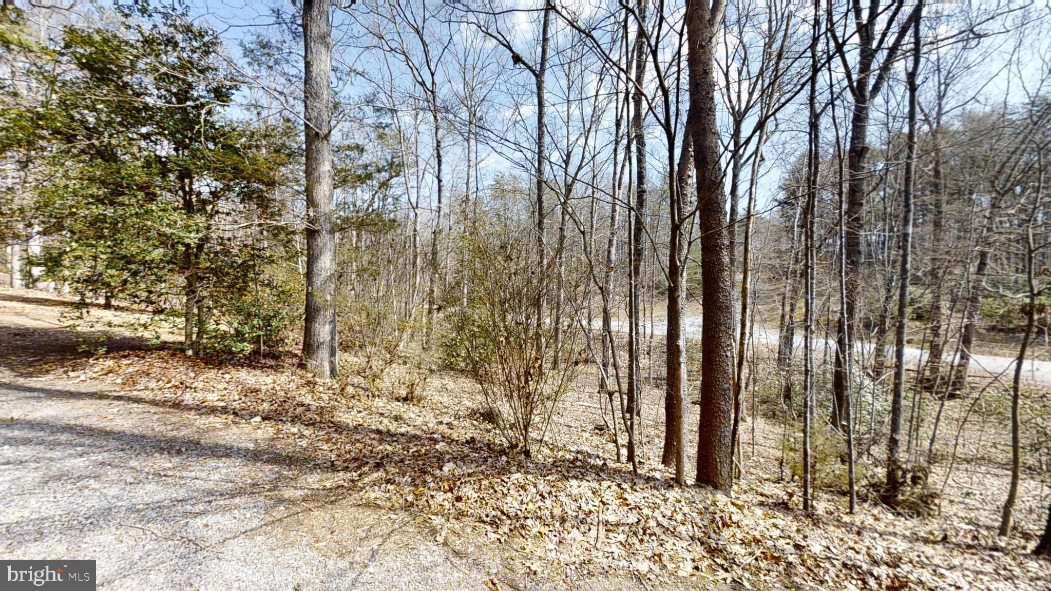 PINE HARBOUR - Residential Lease