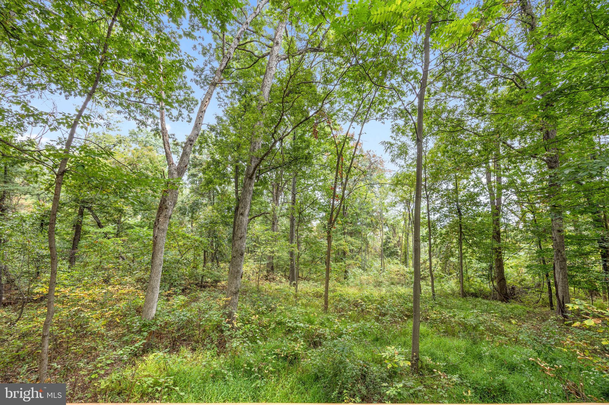 BUCK HILL DEVELOPMENT - Residential