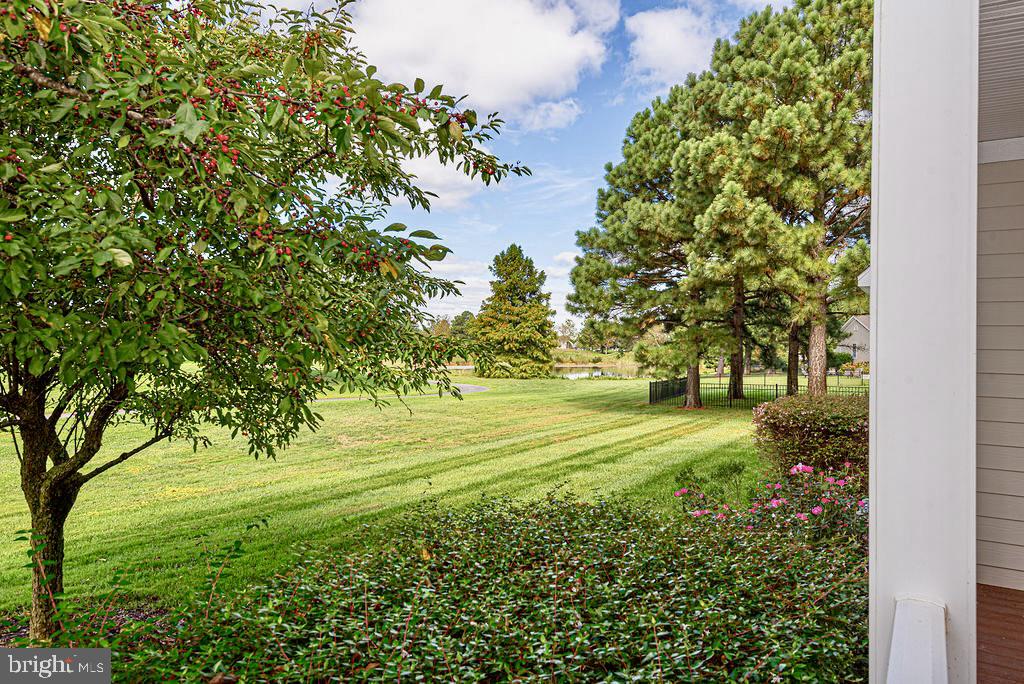 84 WILLOW OAK AVENUE