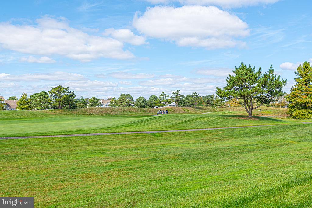 84 WILLOW OAK AVENUE