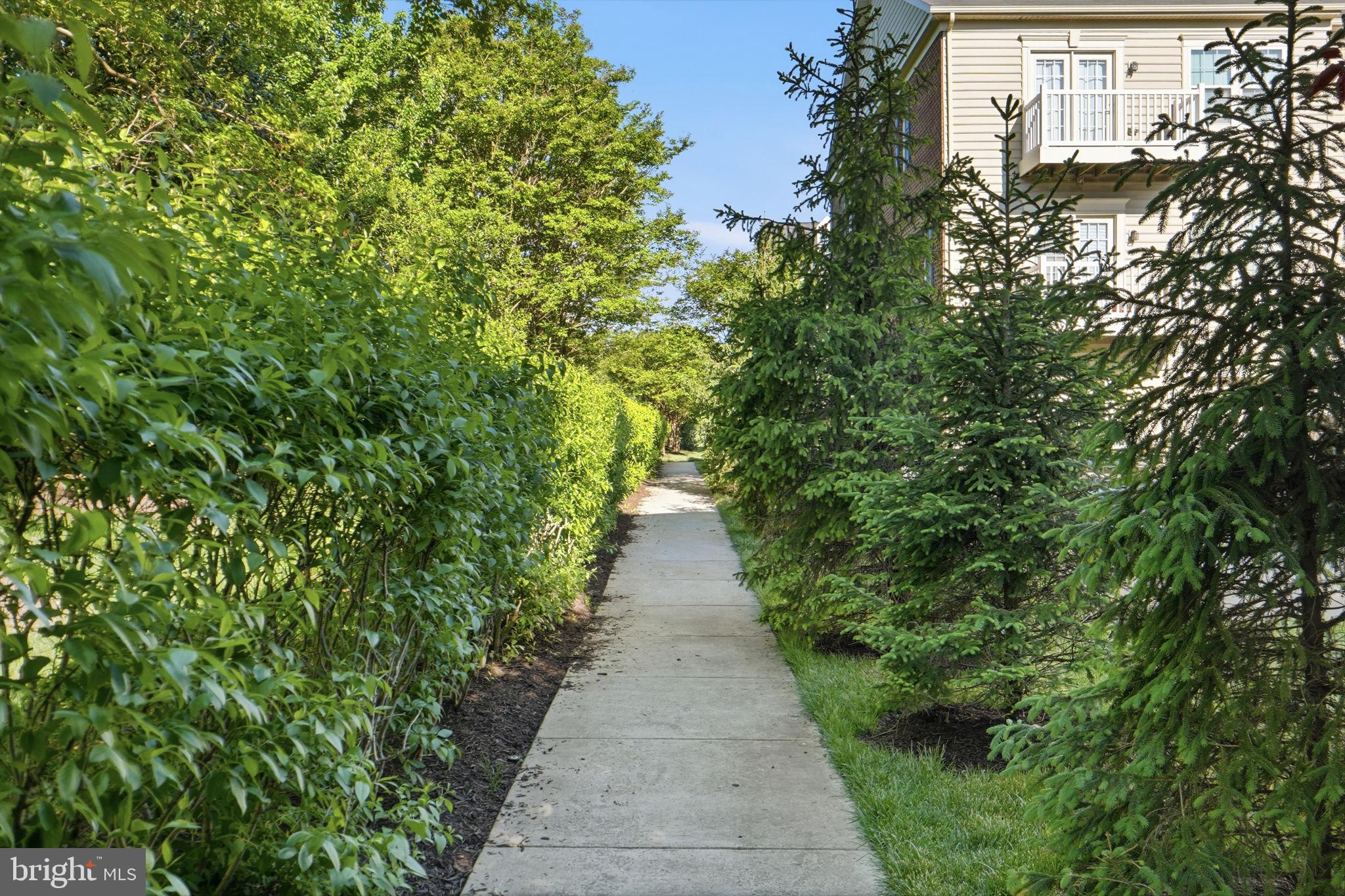 ARCOLA TOWN CENTER CONDO - Residential