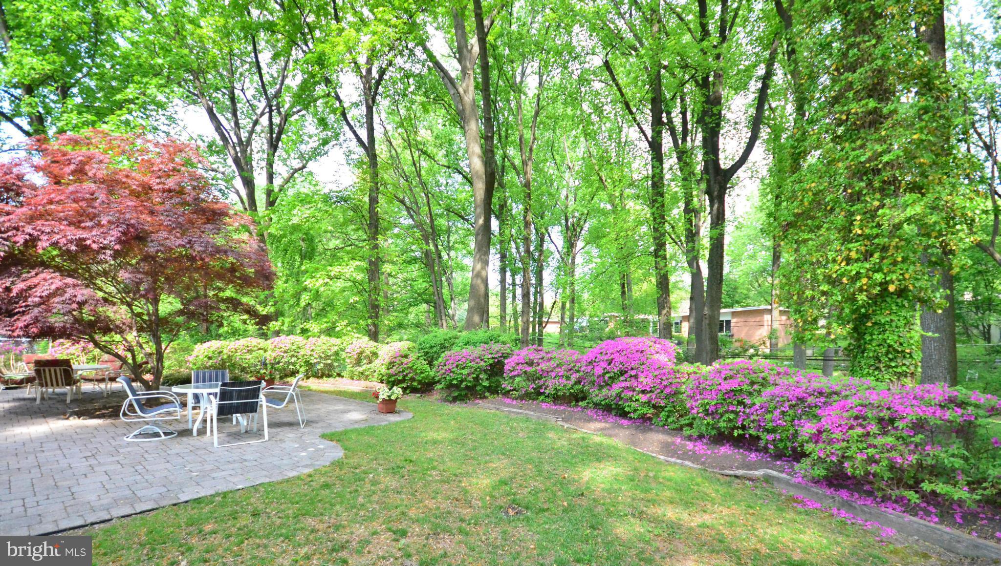 STEVENSON - Residential