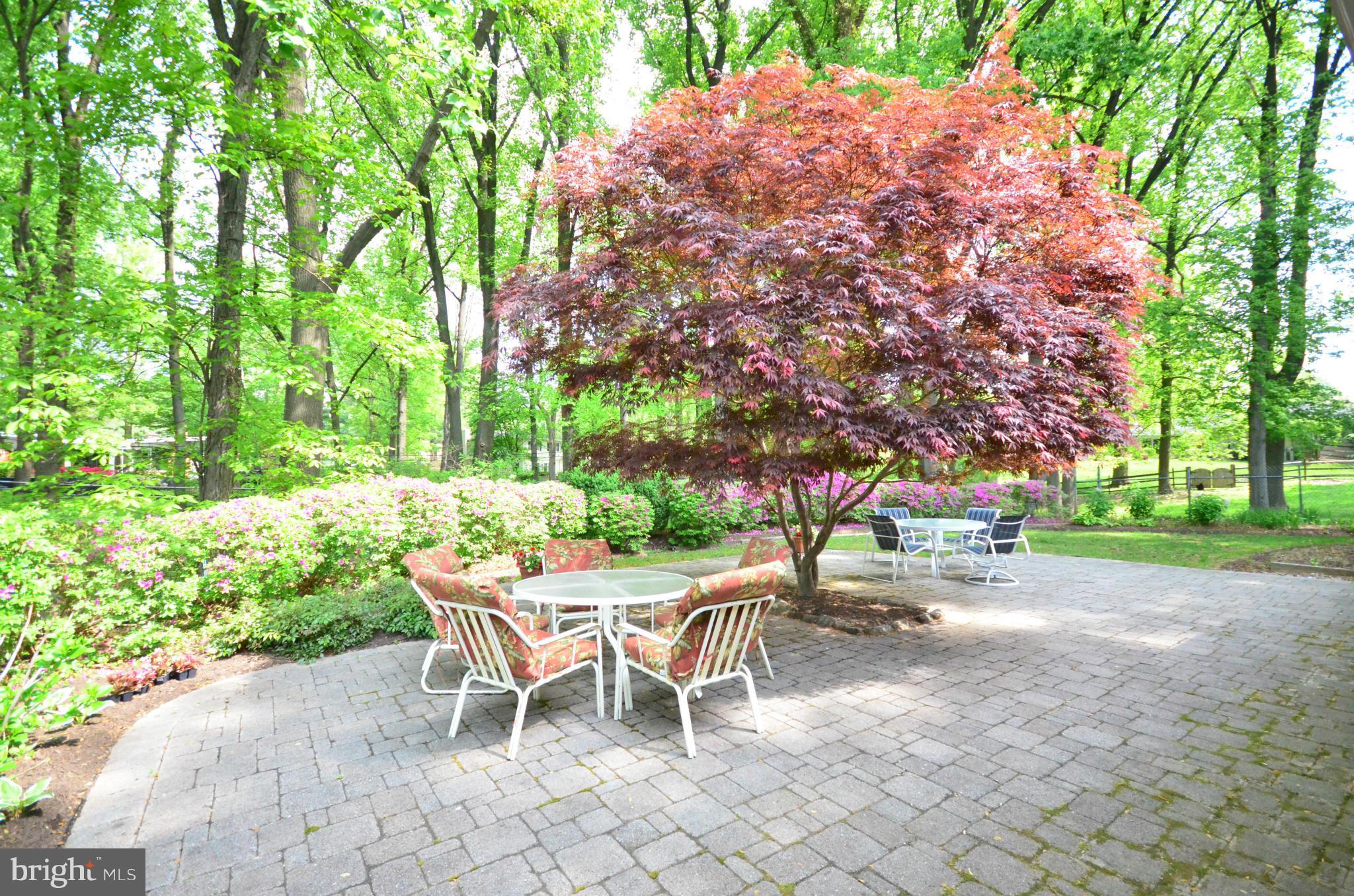 STEVENSON - Residential